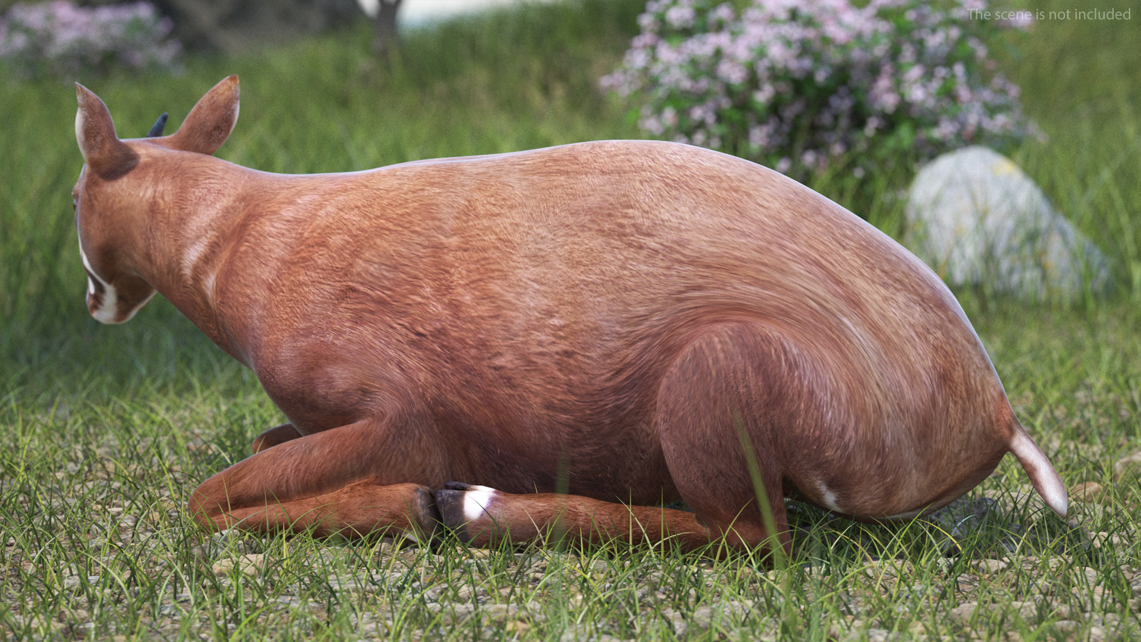Saola Rigged 3D