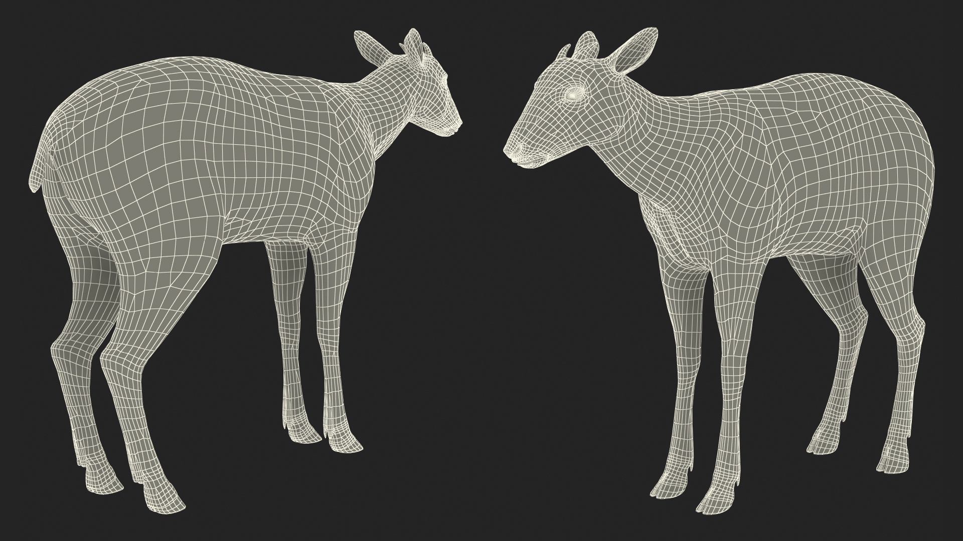 Saola Rigged 3D
