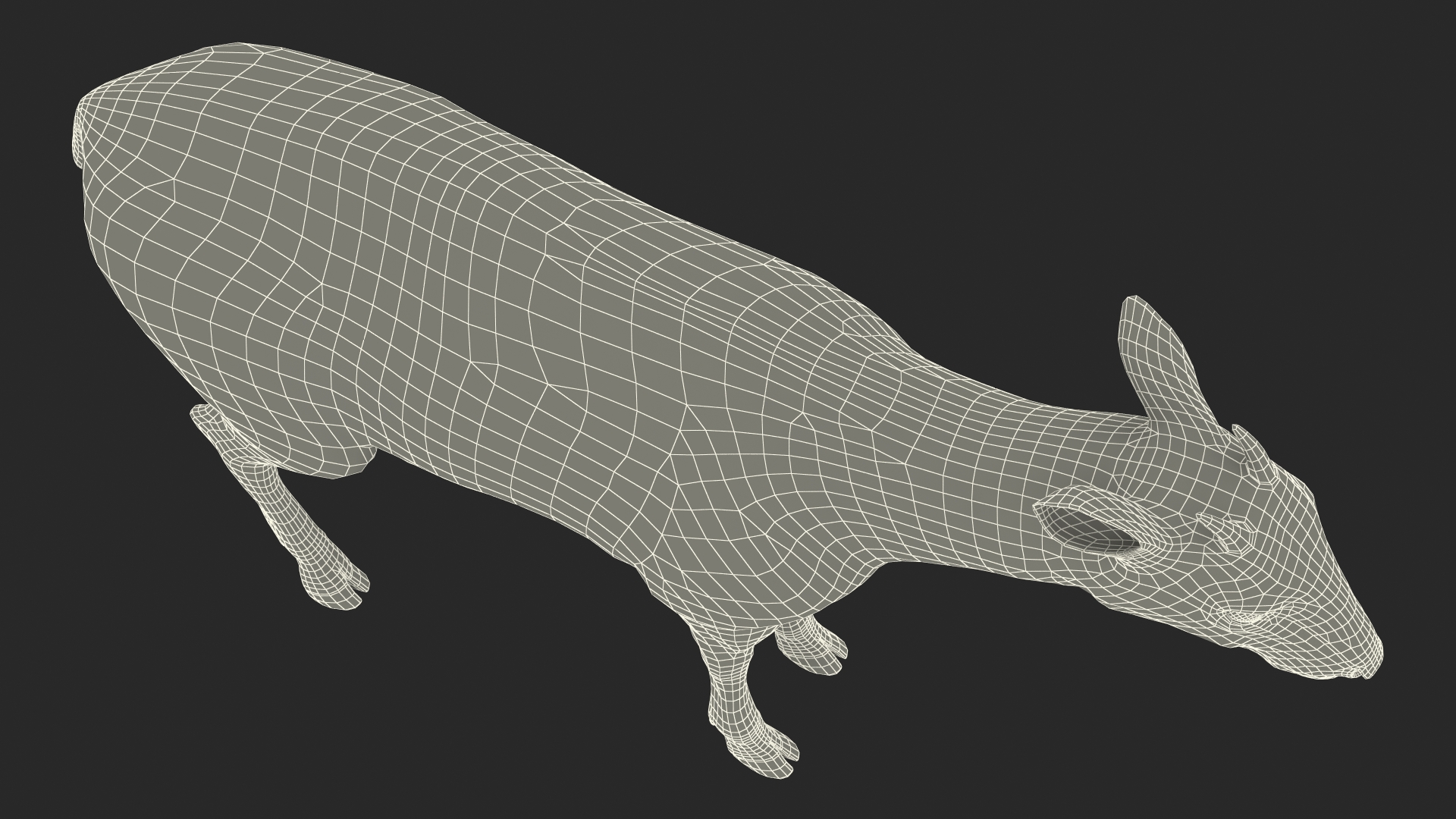 Saola Rigged 3D