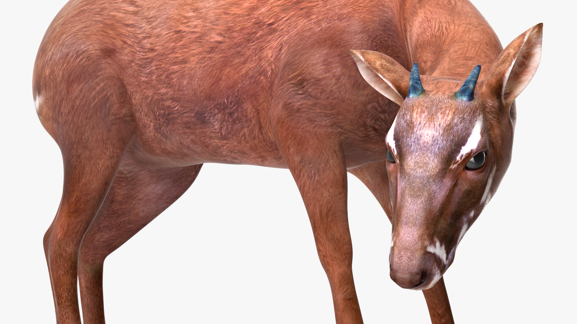 Saola Rigged 3D