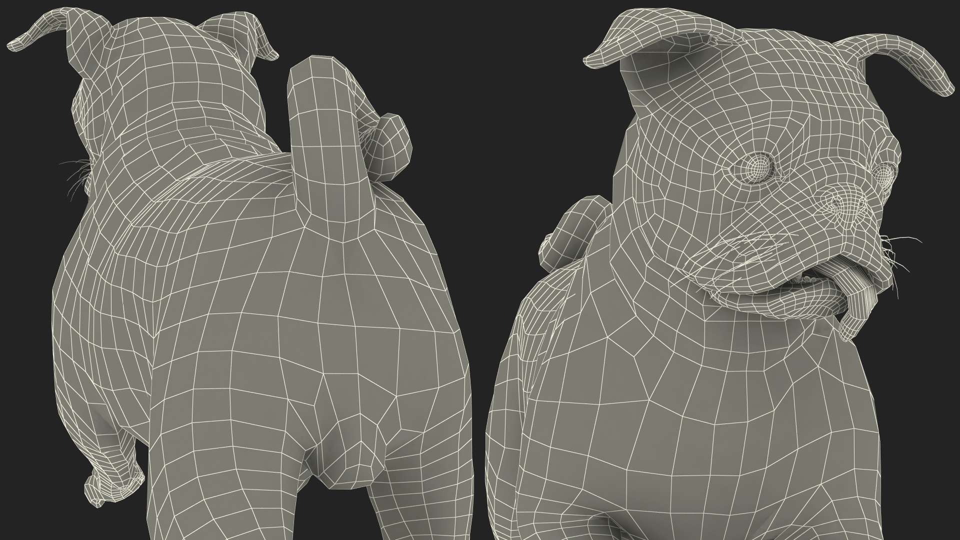 3D model Pug Dog Run Pose Fur