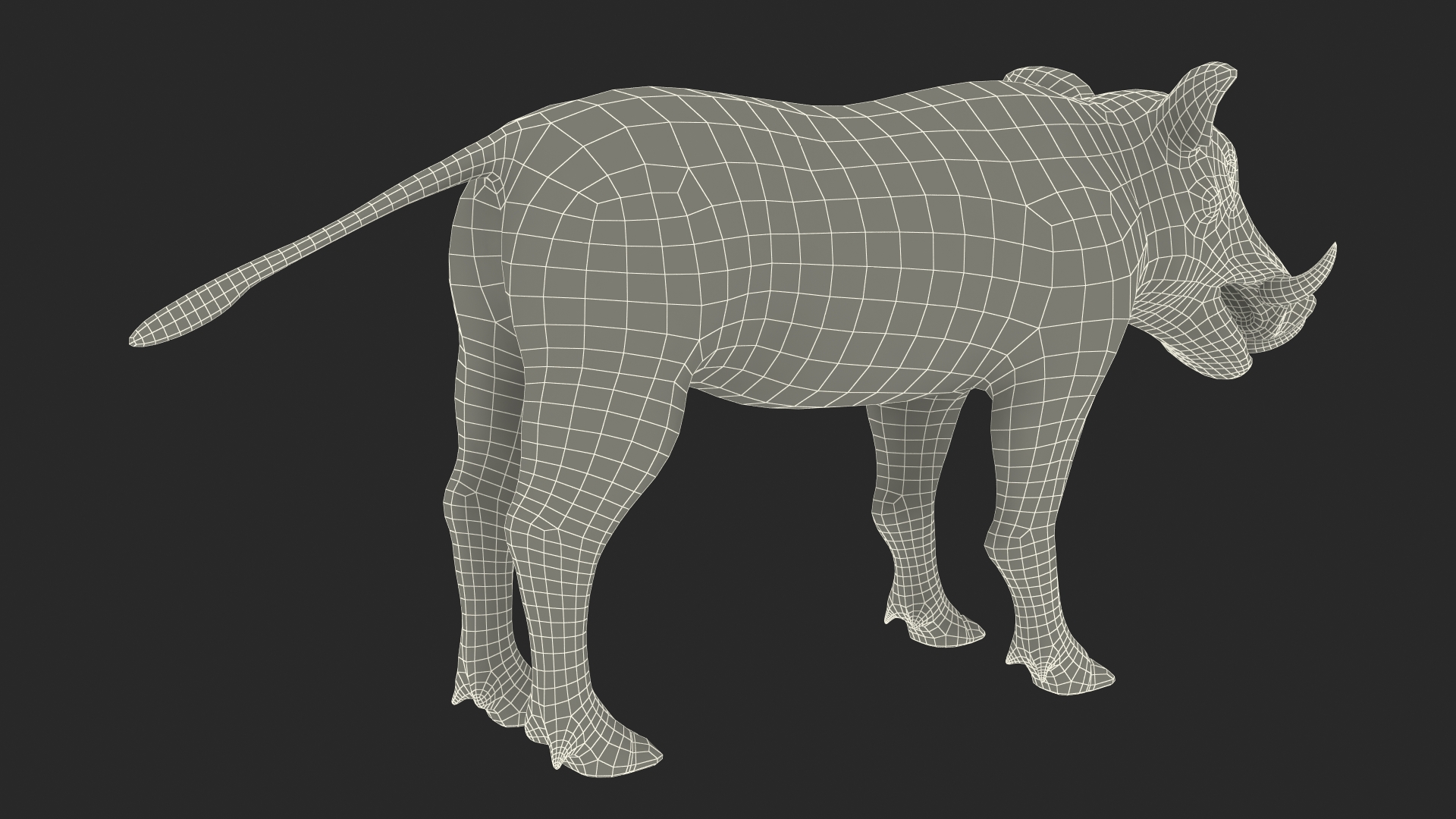 3D model Southern Warthog Base Pose Fur