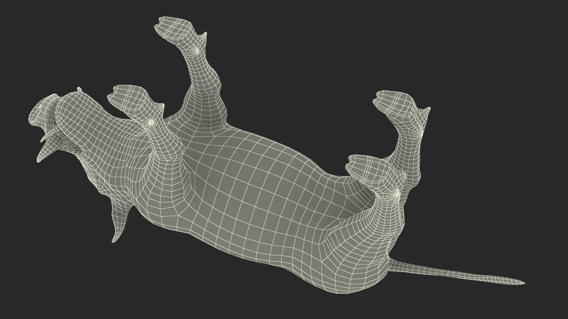 3D model Southern Warthog Base Pose Fur