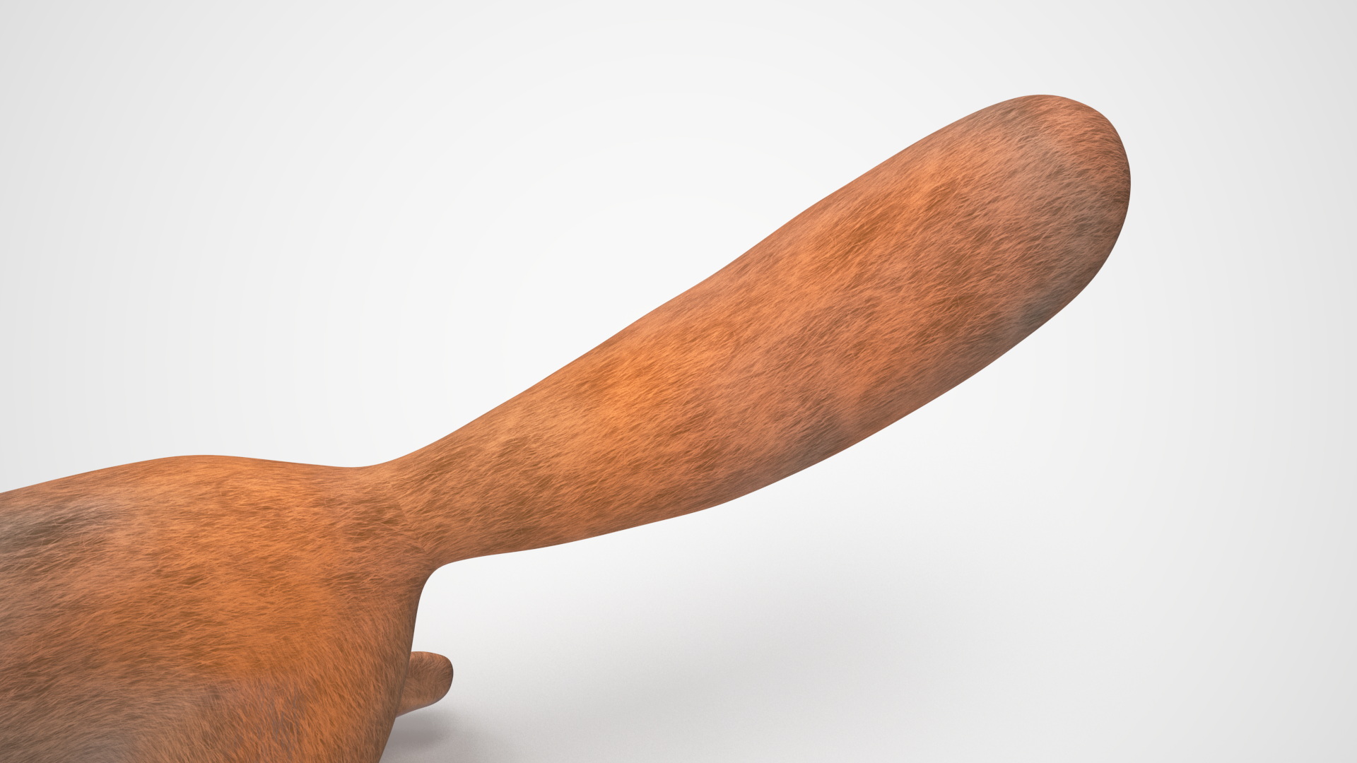 3D Red Squirrel Rigged for Maya model