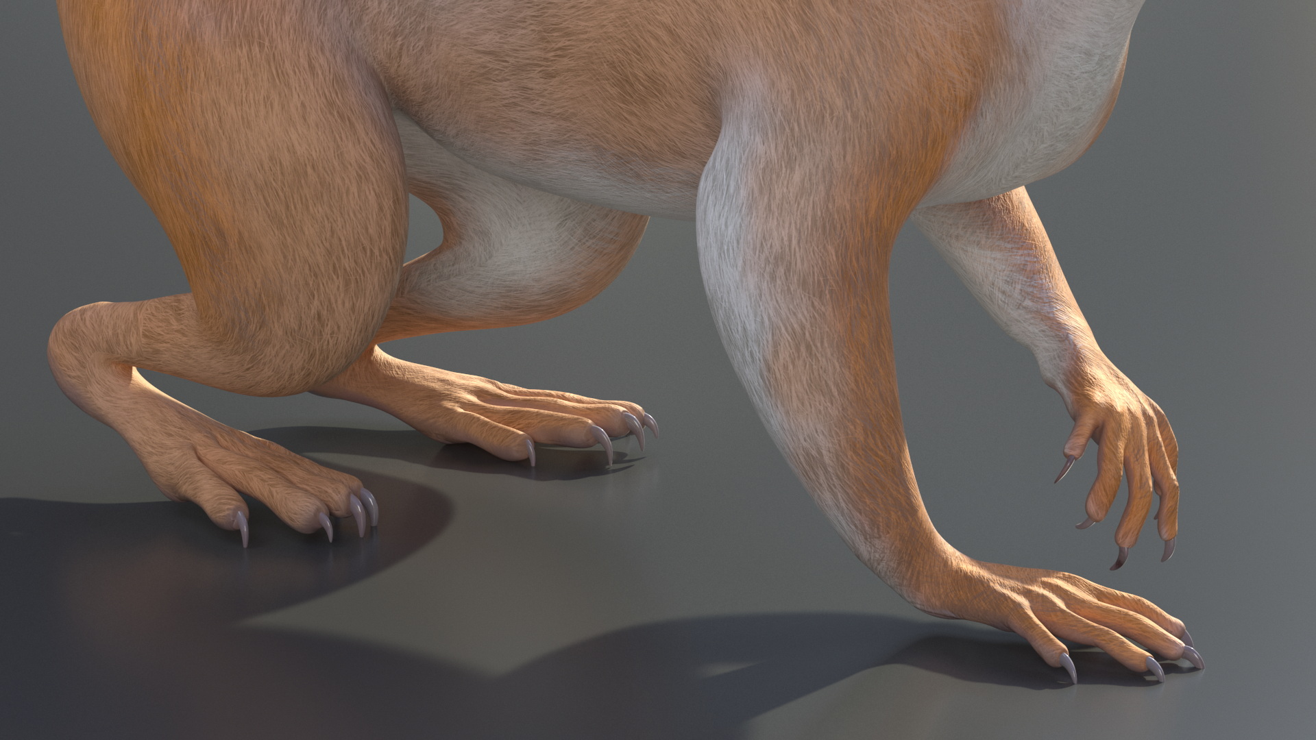 3D Red Squirrel Rigged for Maya model