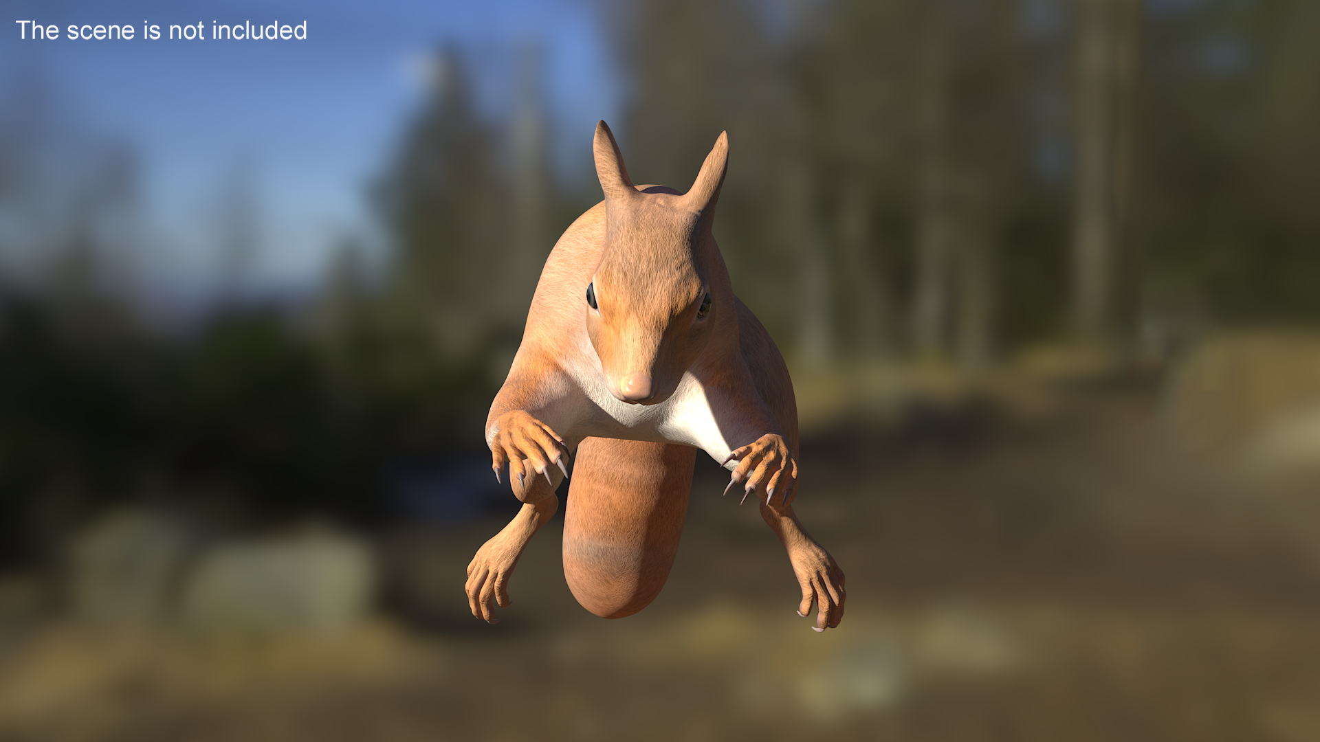 3D Red Squirrel Rigged for Maya model