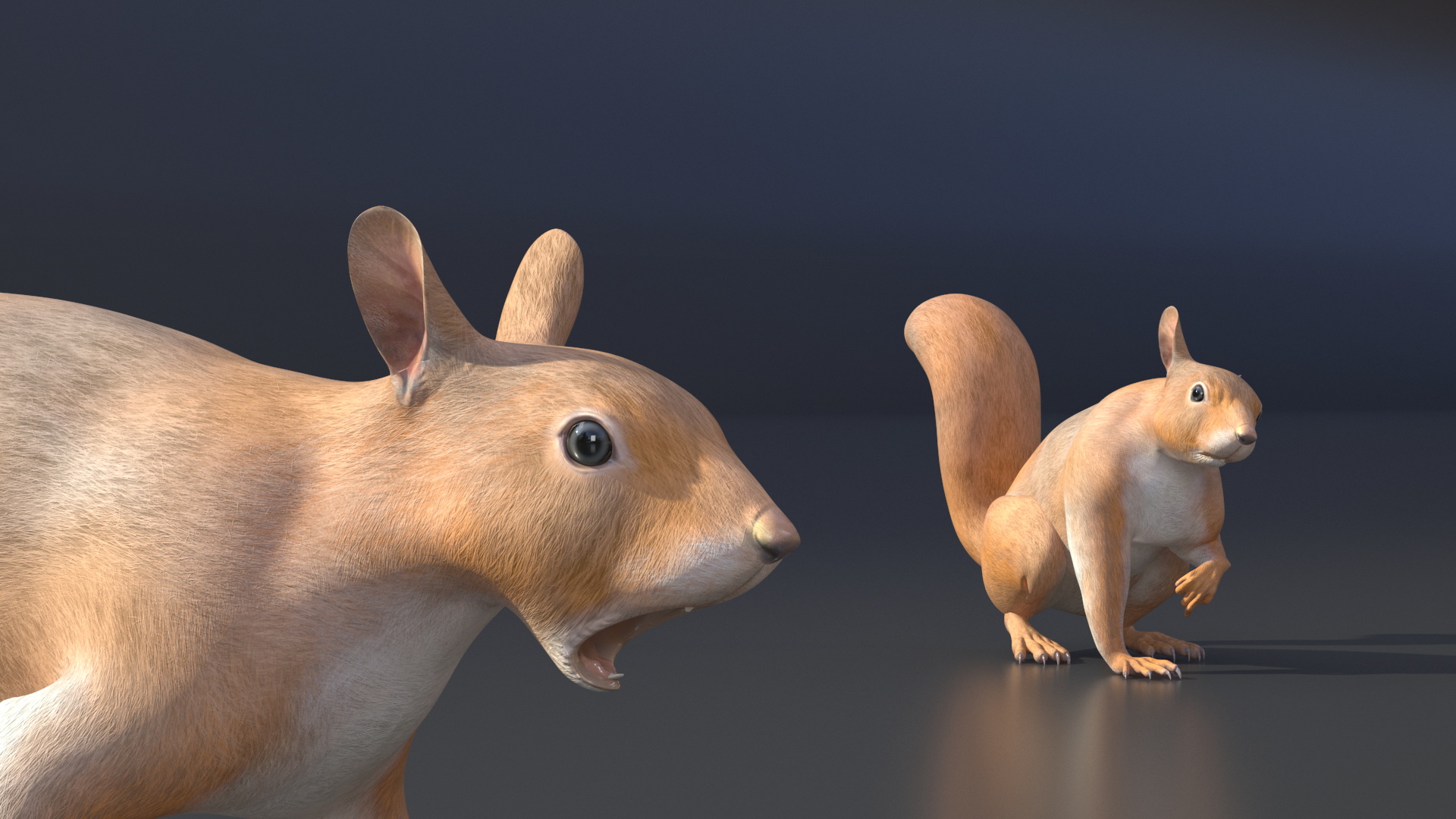 3D Red Squirrel Rigged for Maya model