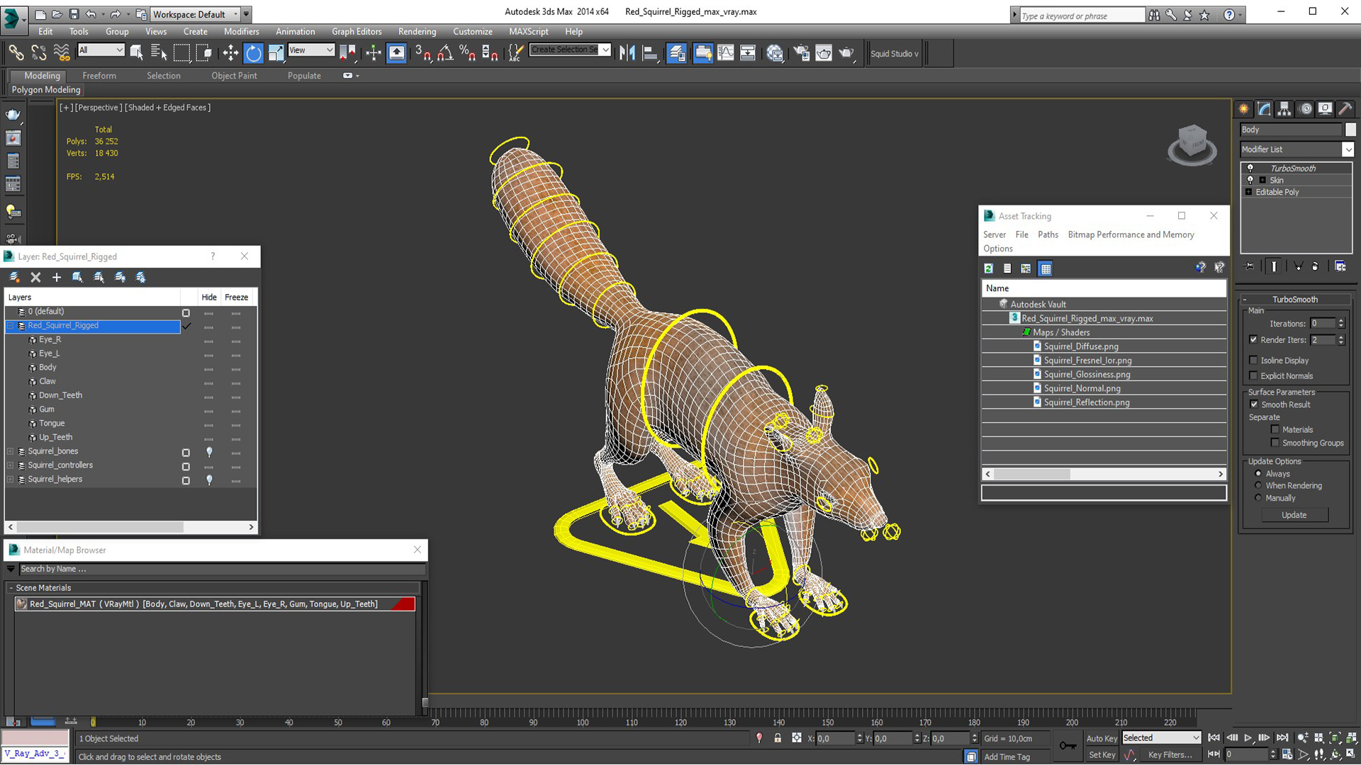 3D Red Squirrel Rigged for Maya model