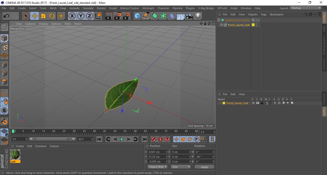 Fresh Laurel Leaf 3D