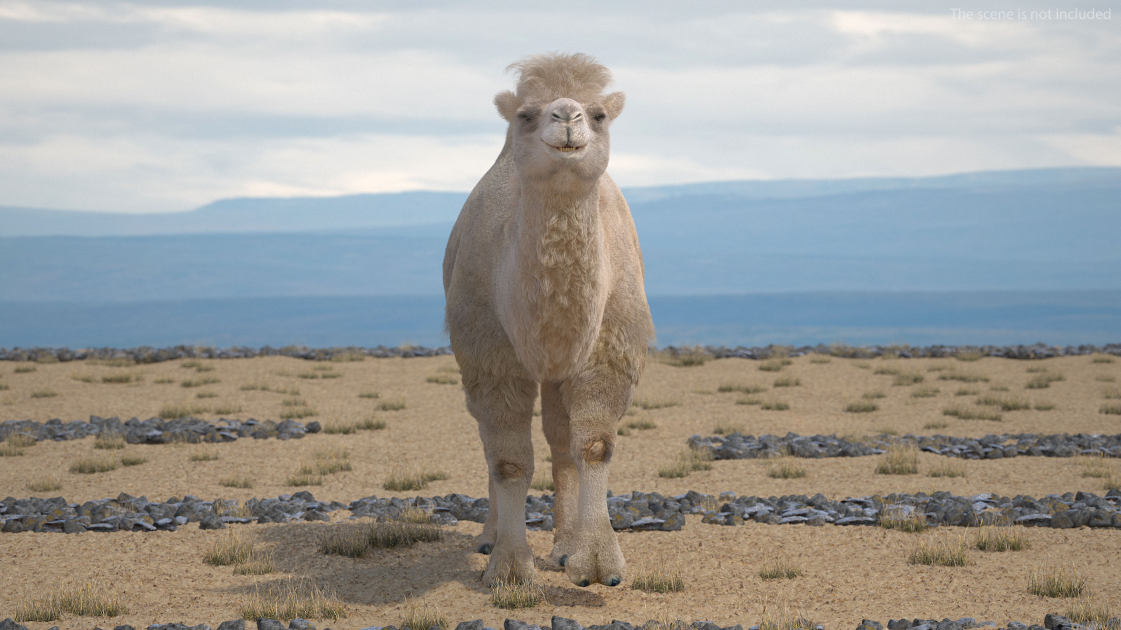 3D model Bactrian Camel Light Colored Walking Pose Fur