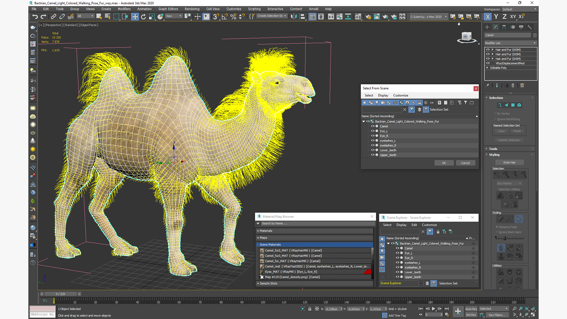 3D model Bactrian Camel Light Colored Walking Pose Fur