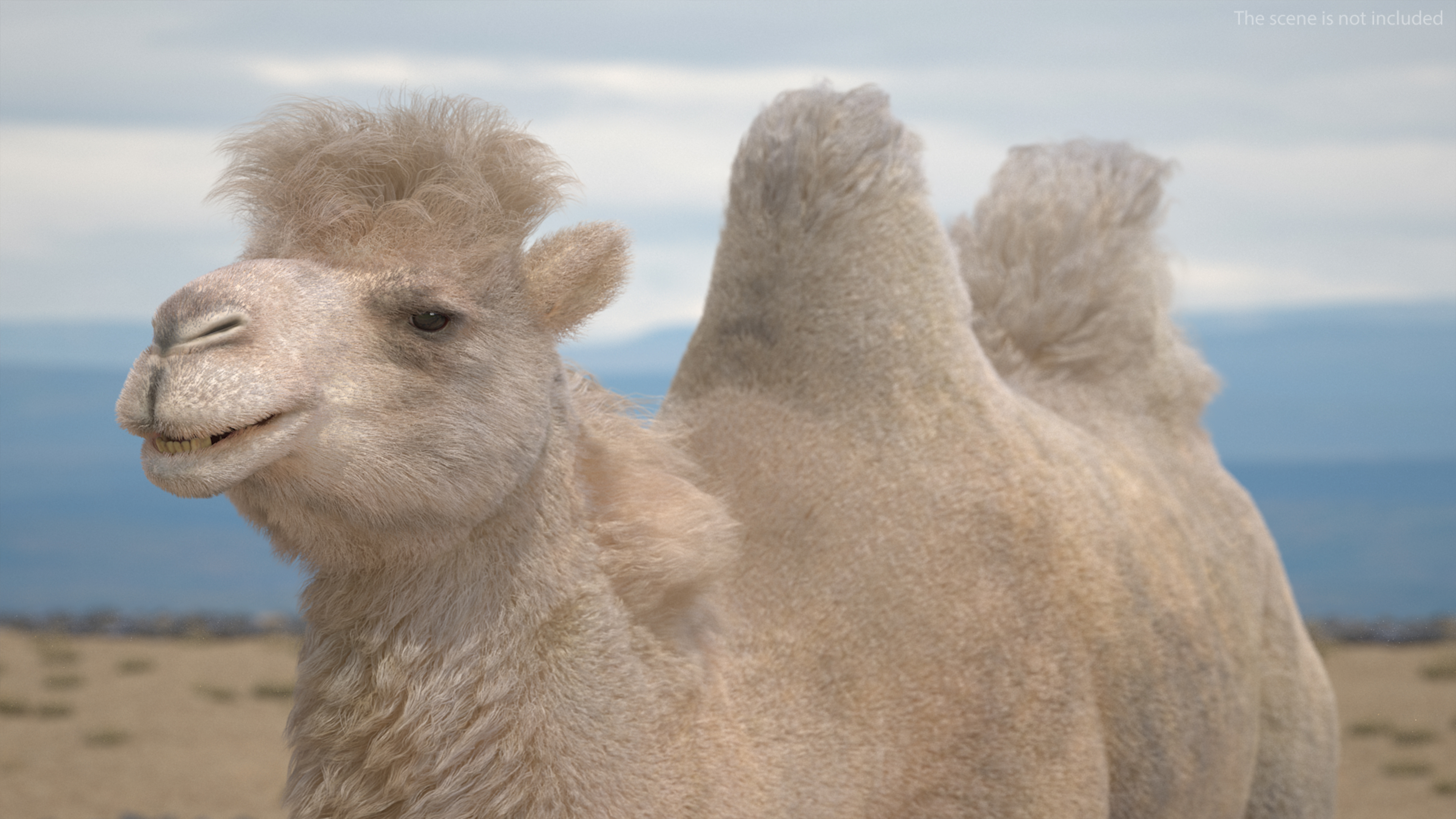 3D model Bactrian Camel Light Colored Walking Pose Fur