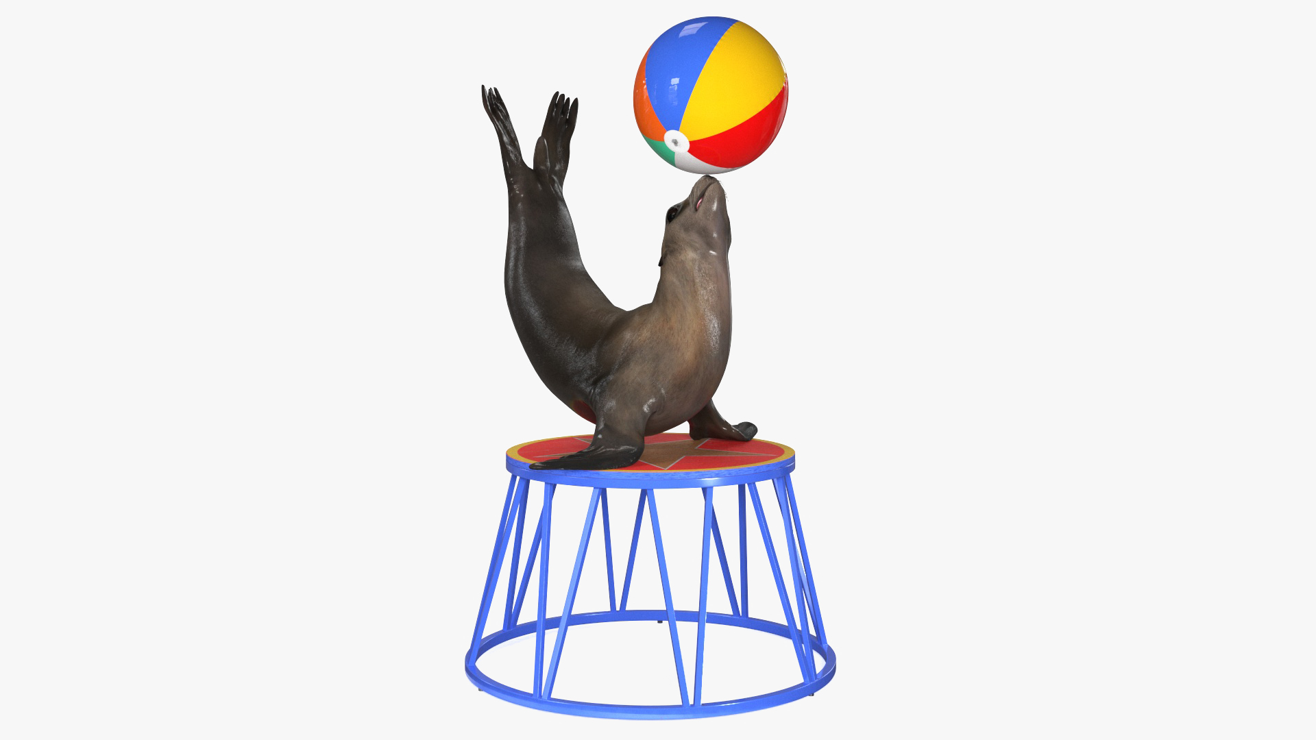 Seal on a Circus Stand 3D