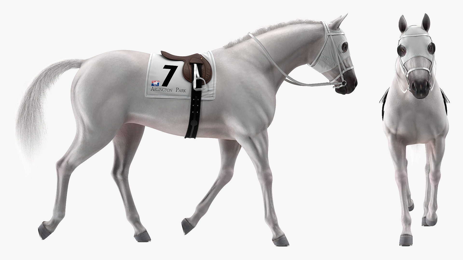 White Racehorse Gait Pose Fur 3D model