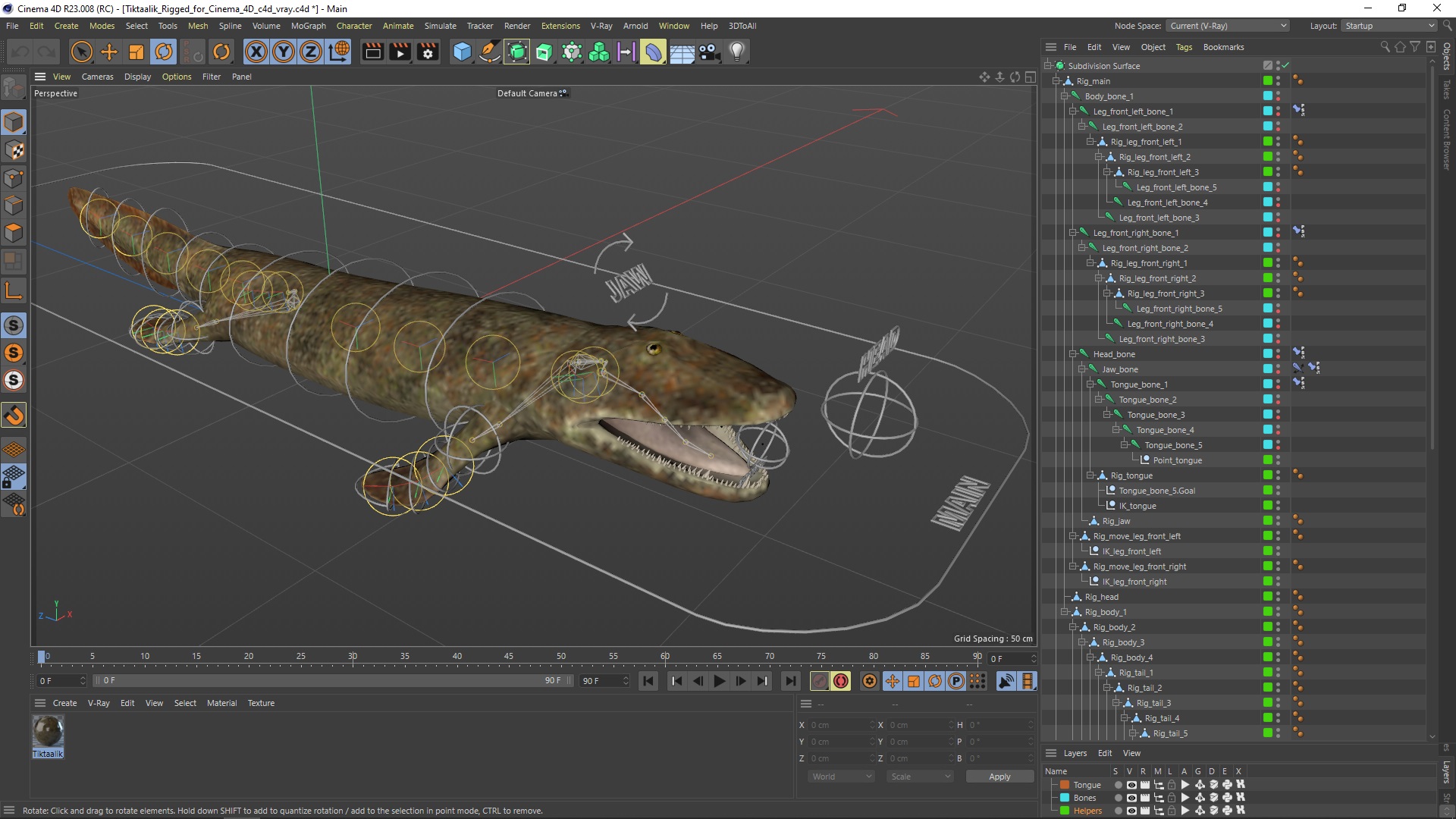 3D model Tiktaalik Rigged for Cinema 4D