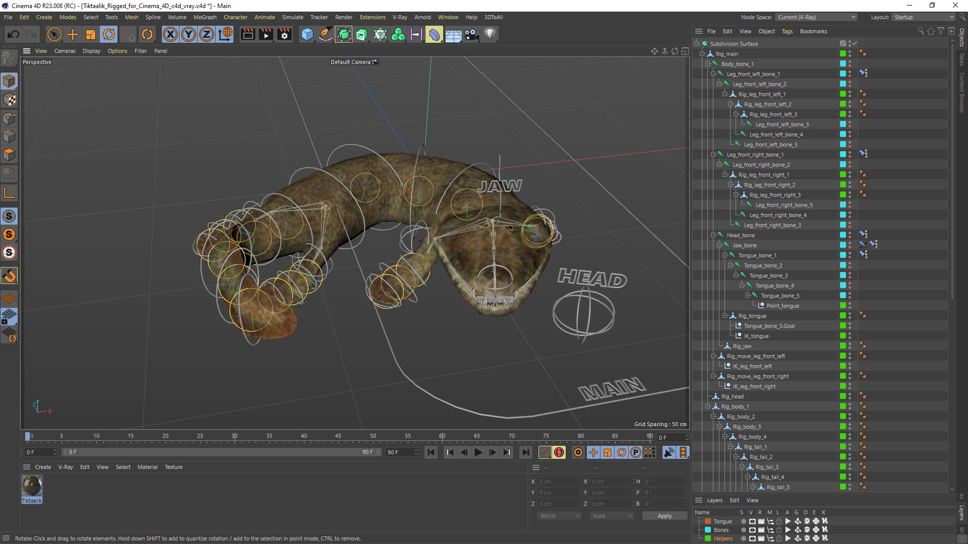 3D model Tiktaalik Rigged for Cinema 4D