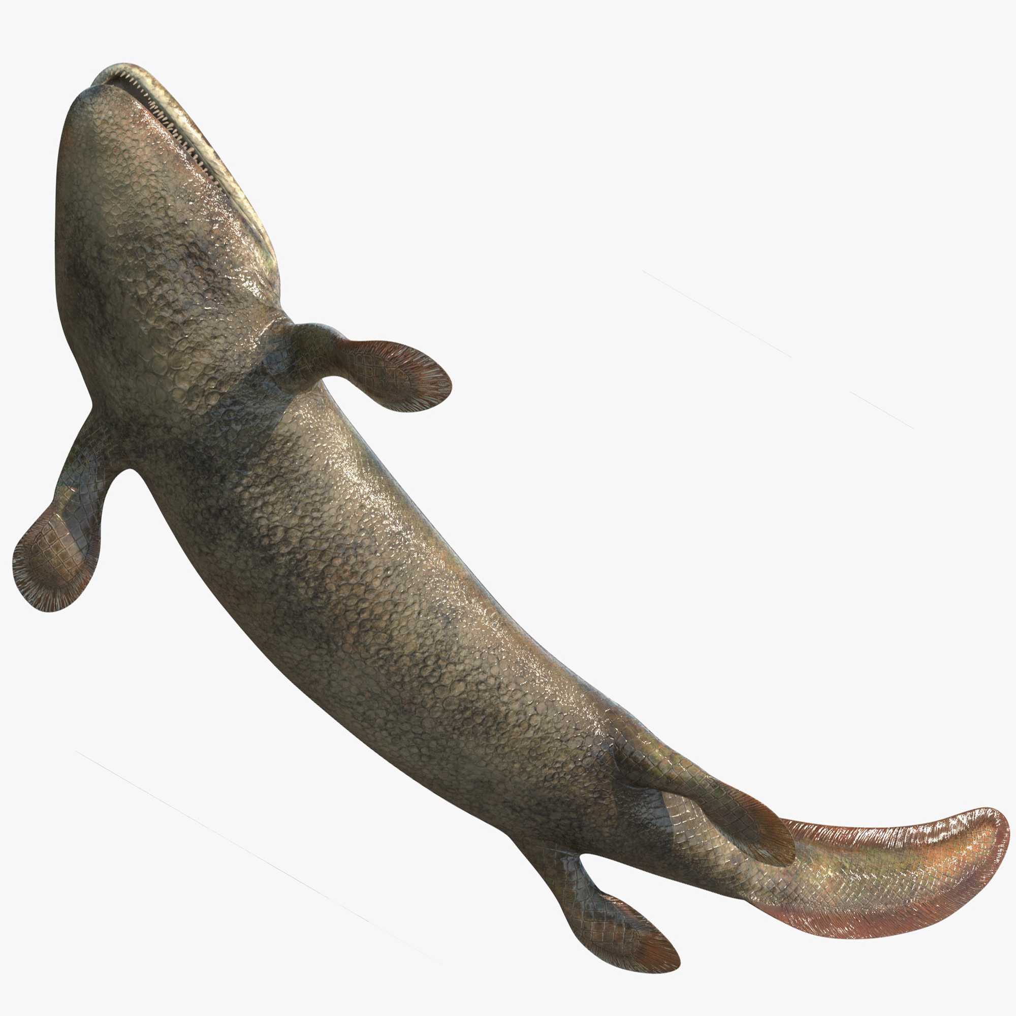 3D model Tiktaalik Rigged for Cinema 4D