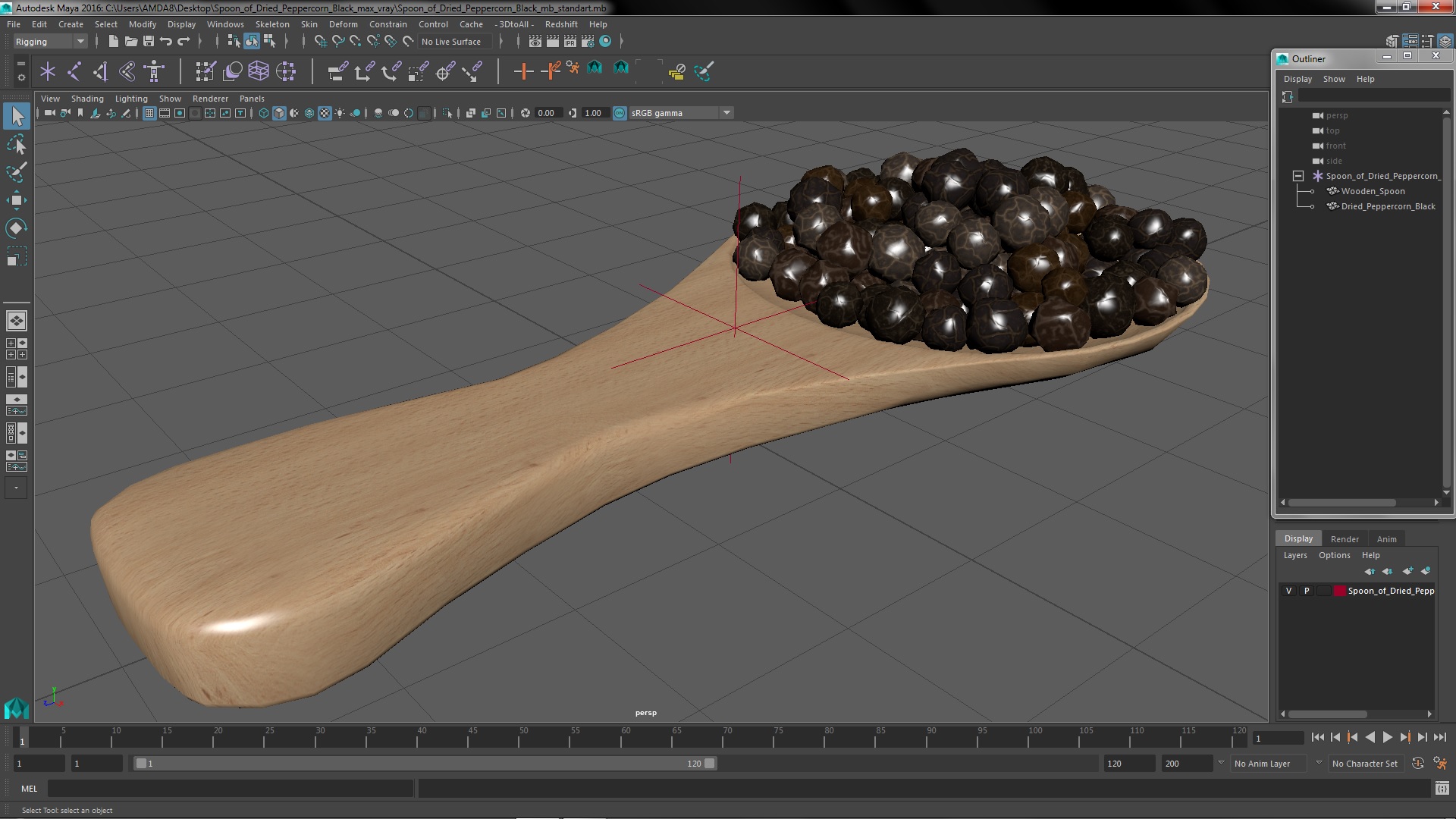 3D Spoon of Dried Peppercorn Black
