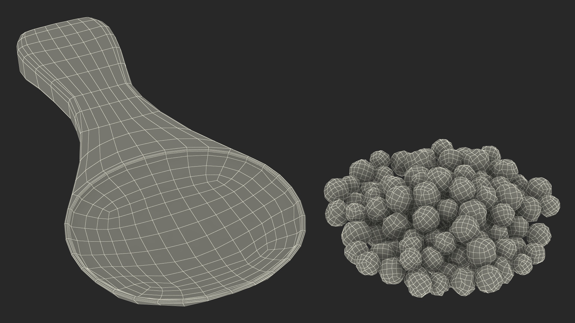3D Spoon of Dried Peppercorn Black