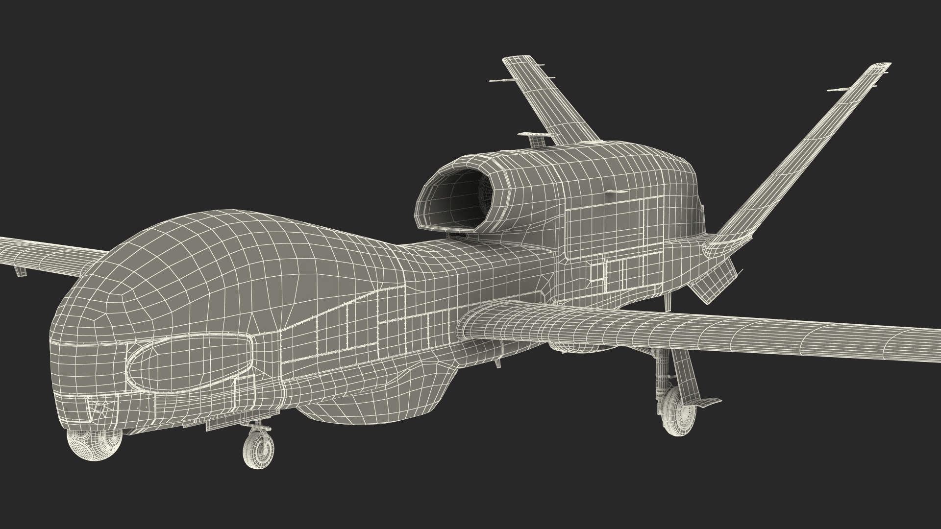 3D Northrop Grumman MQ-4C Triton Rigged