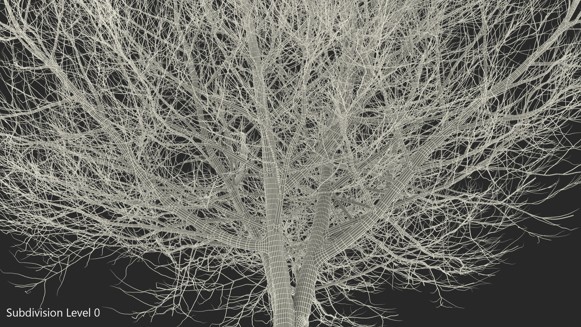 3D White Ash Winter