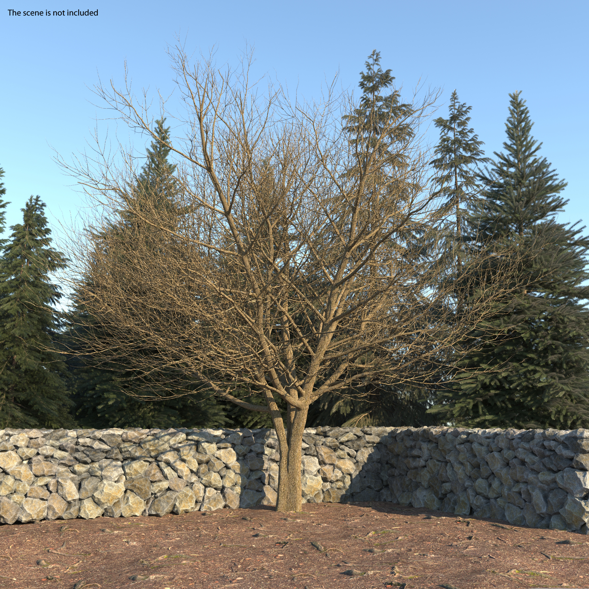 3D White Ash Winter