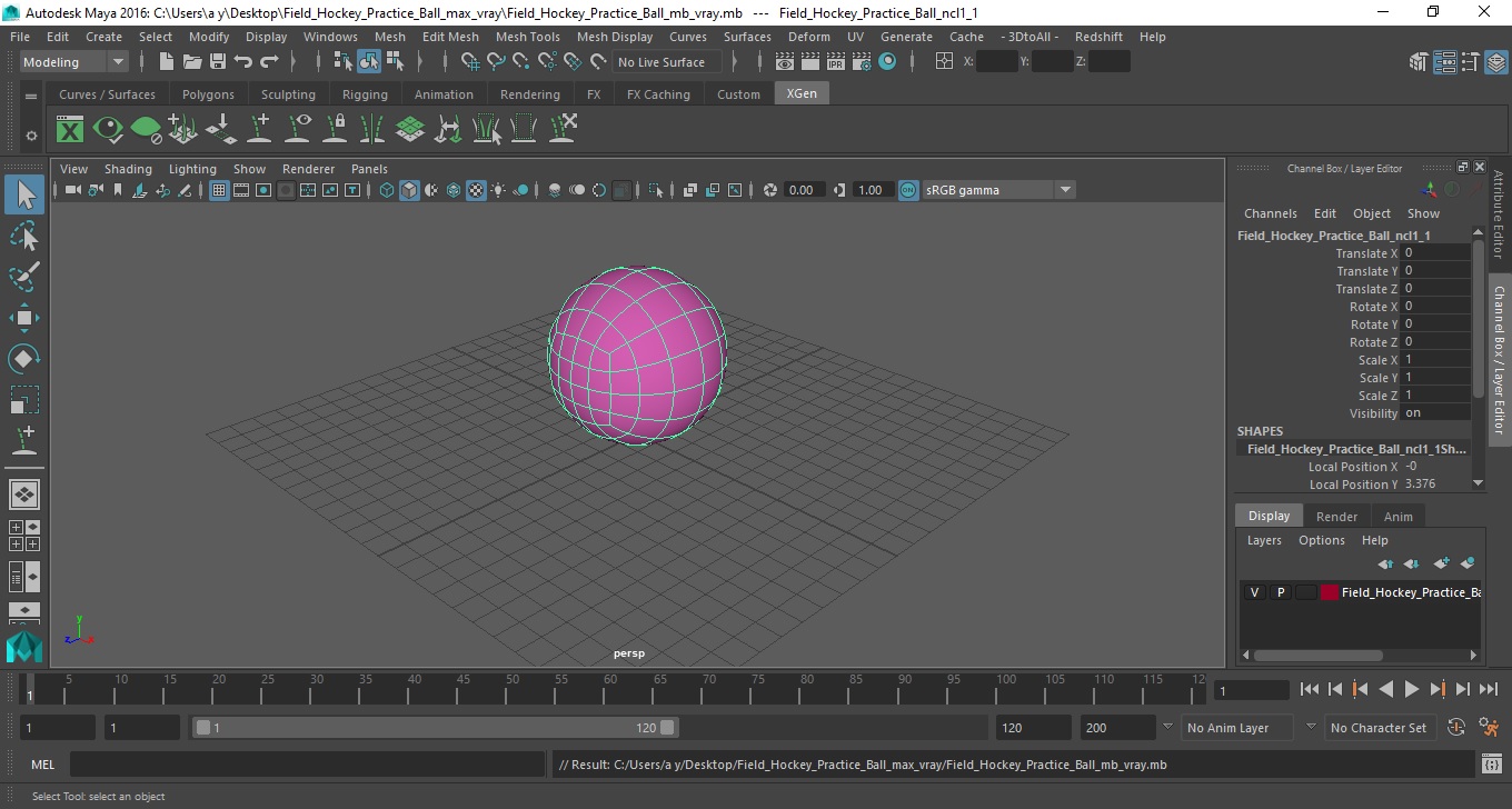 3D Field Hockey Practice Ball