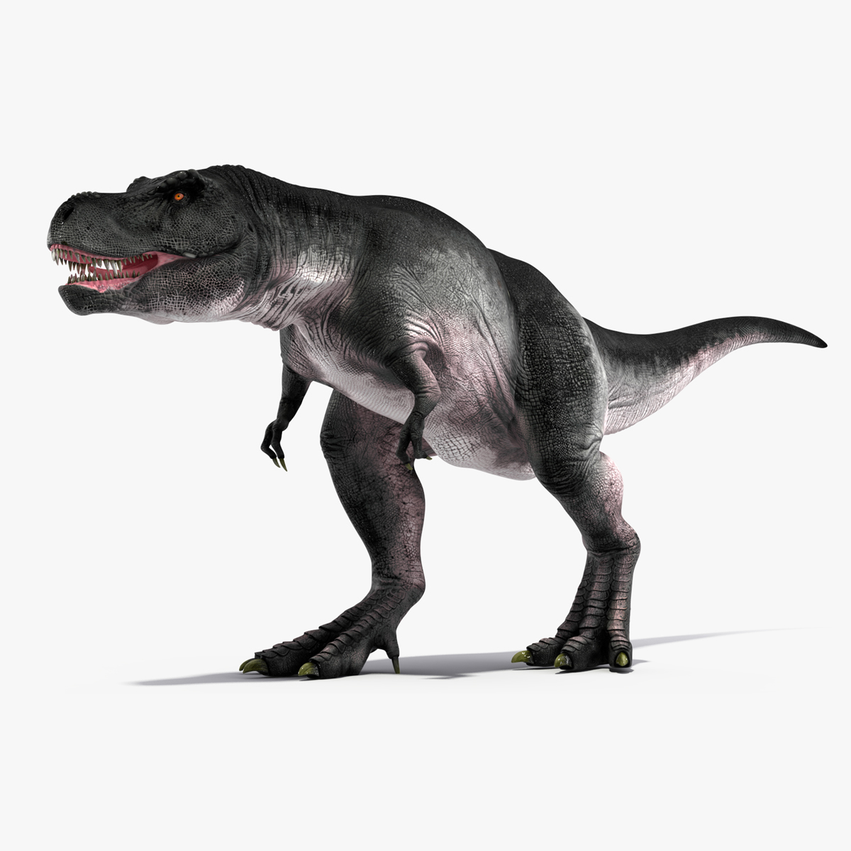 3D T Rex Walking Animated Rigged for Maya model