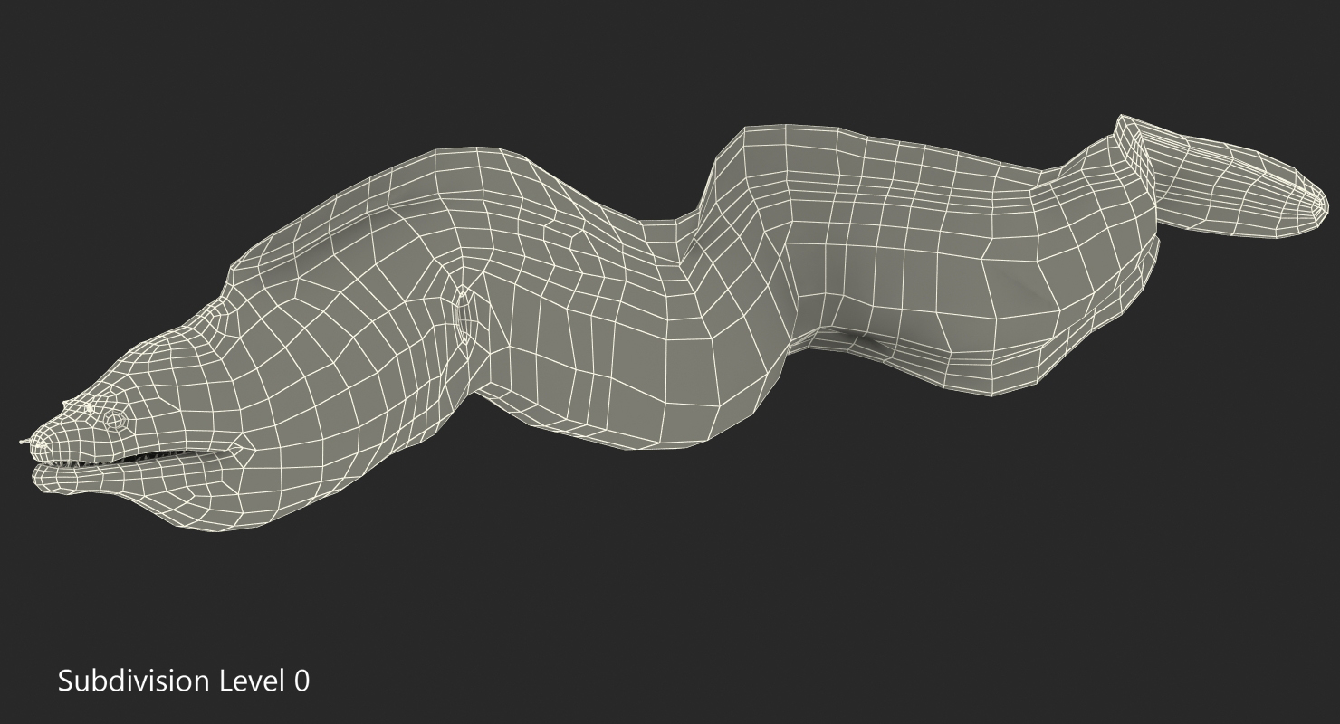 3D Murena Pose 2 model