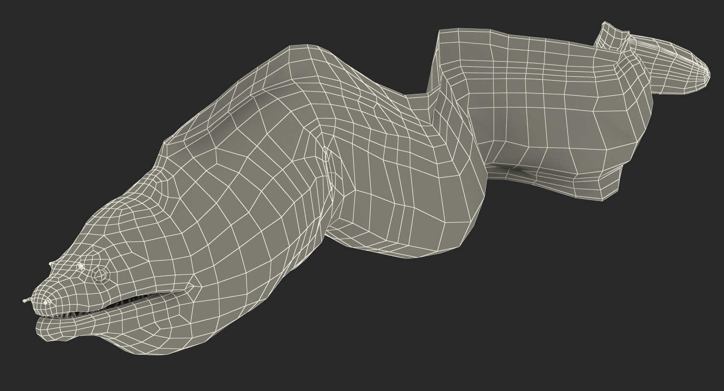 3D Murena Pose 2 model