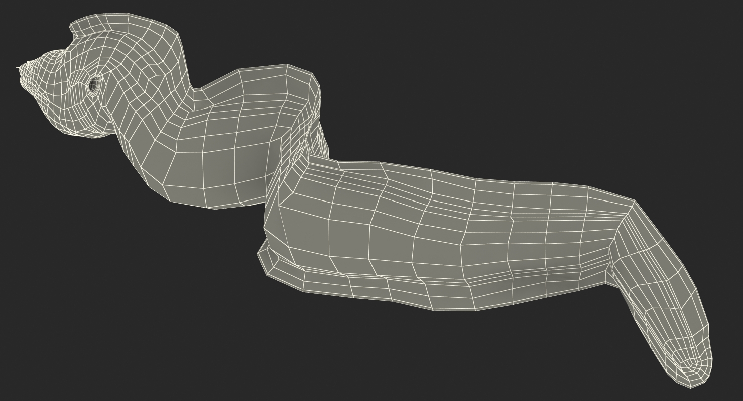 3D Murena Pose 2 model