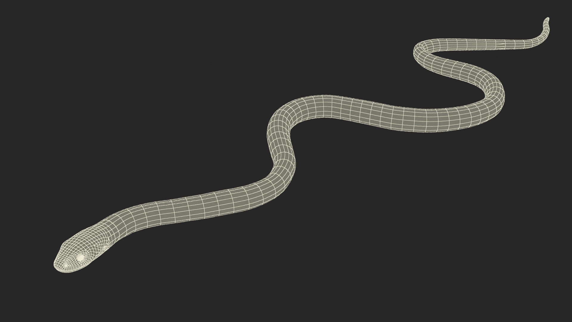 3D Grass Snake Brown Rigged for Cinema 4D model