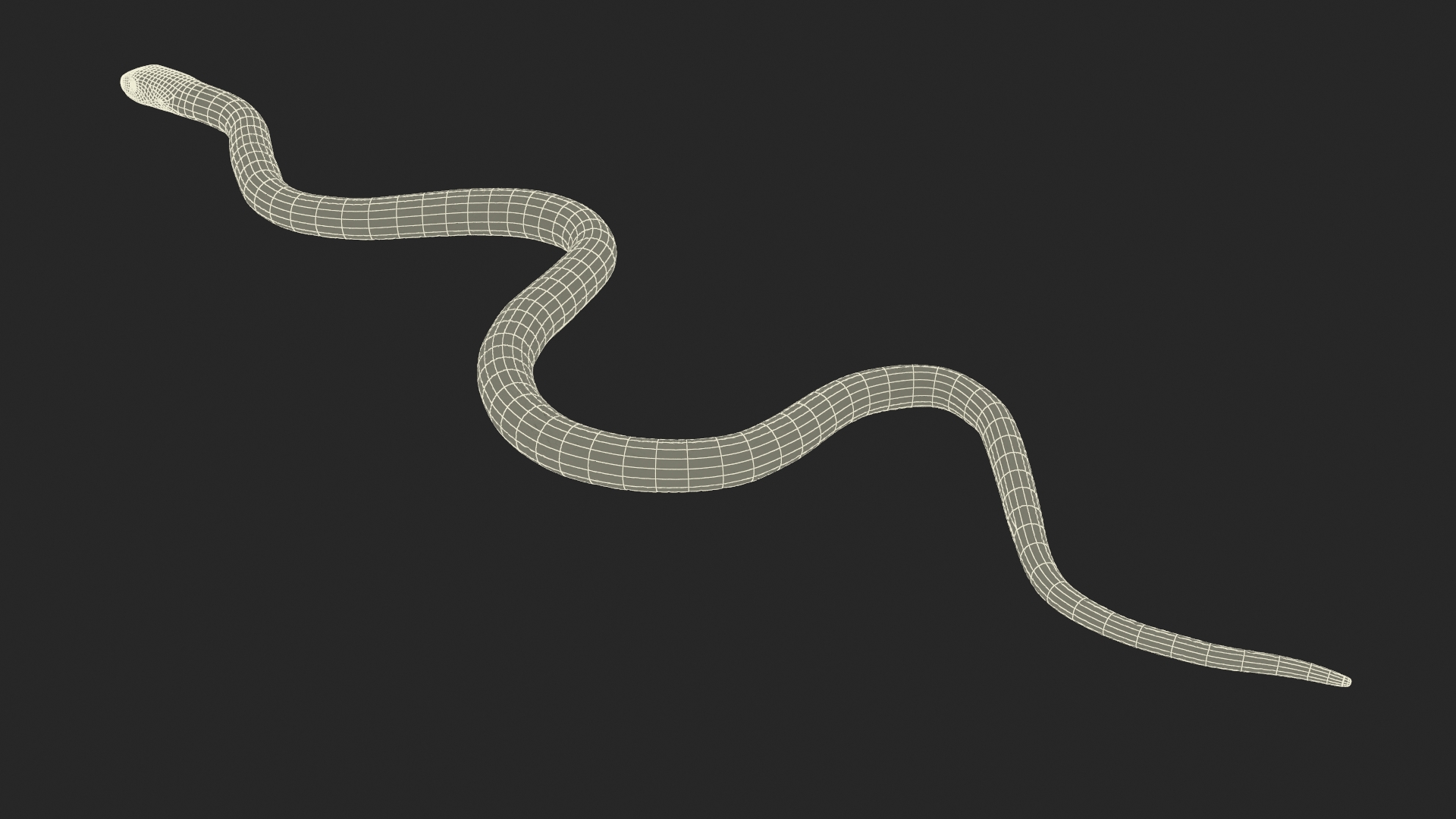 3D Grass Snake Brown Rigged for Cinema 4D model