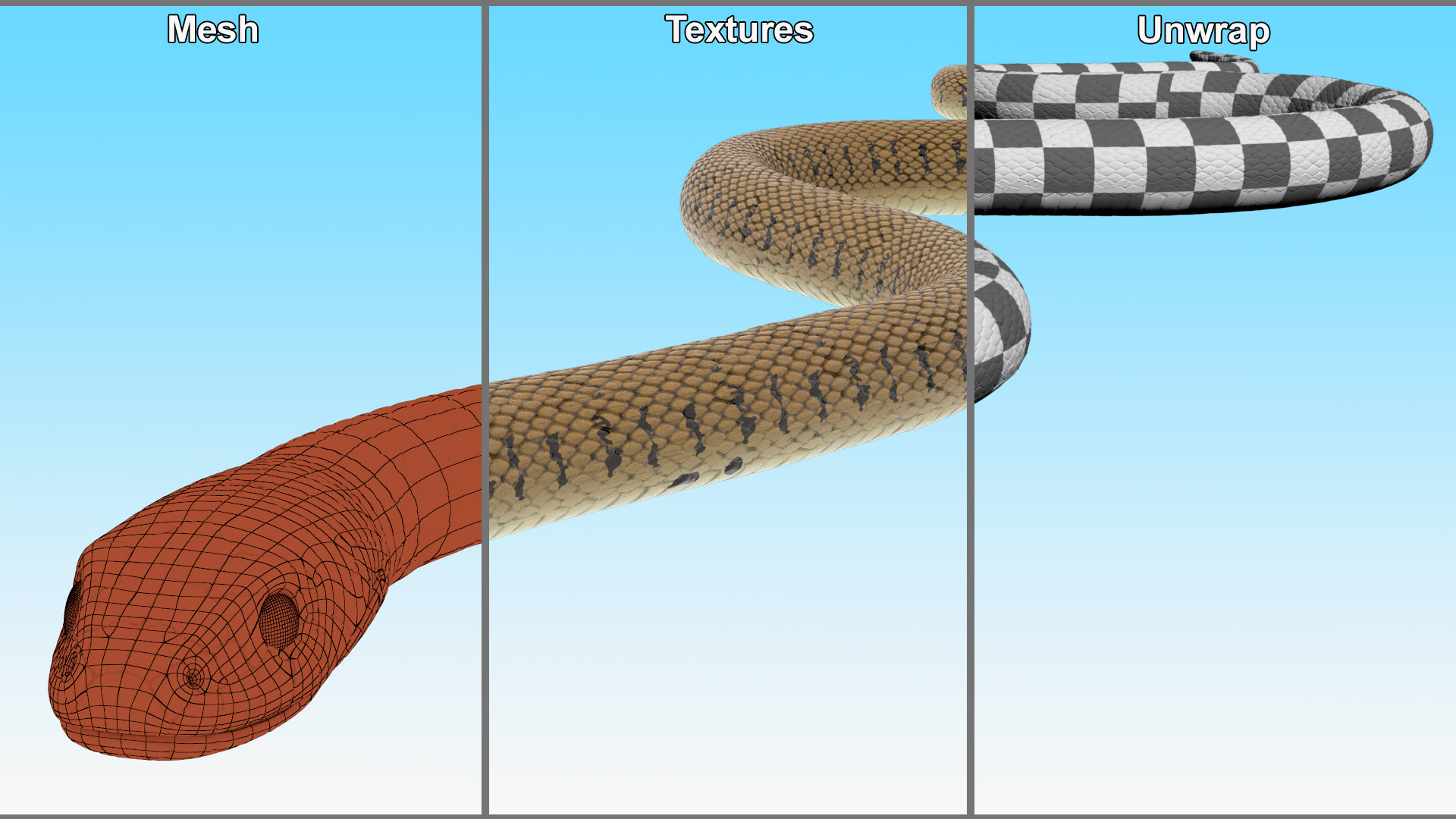 3D Grass Snake Brown Rigged for Cinema 4D model