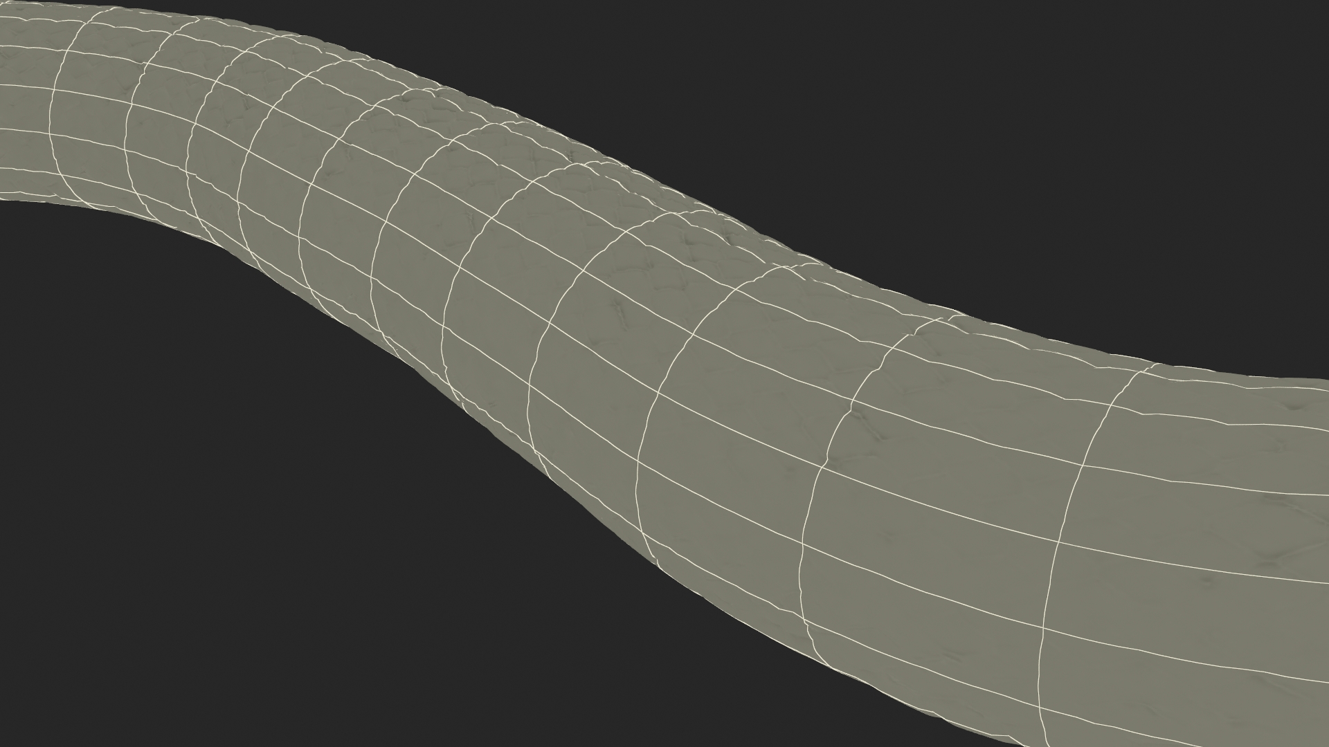 3D Grass Snake Brown Rigged for Cinema 4D model