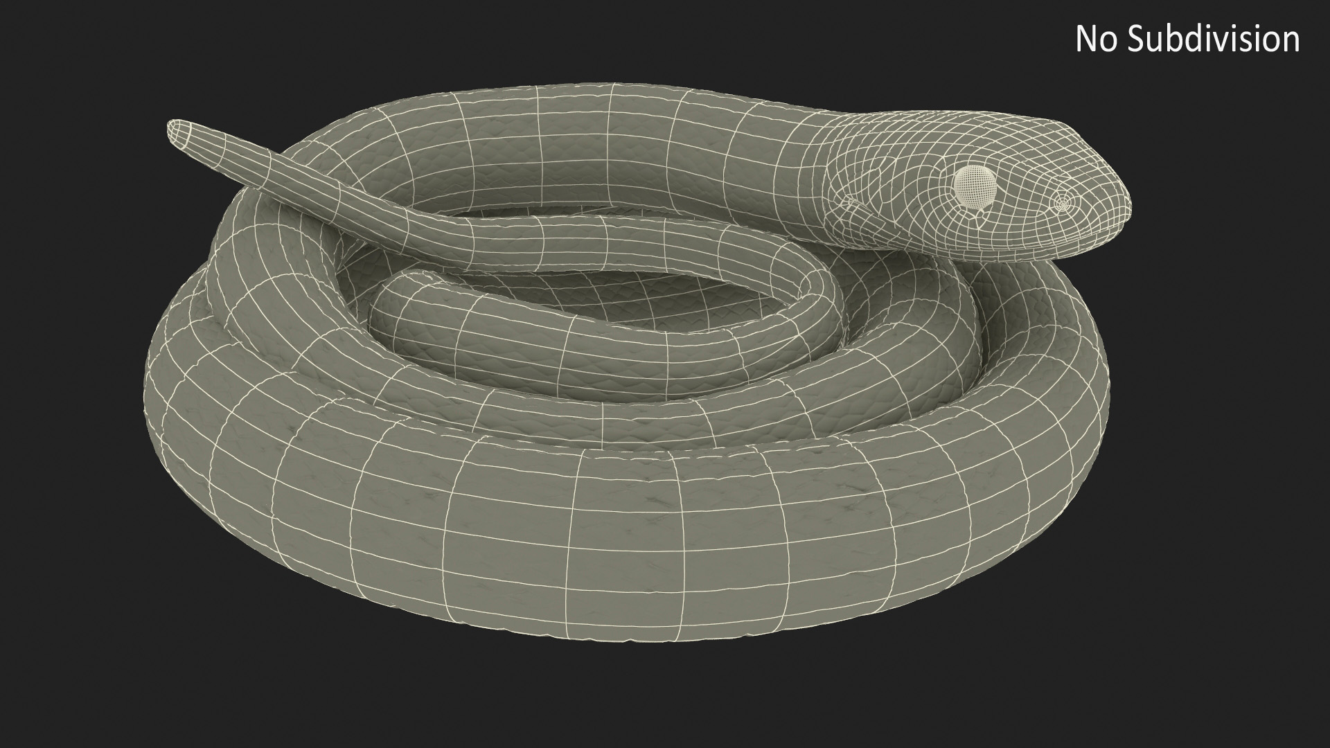 3D Grass Snake Brown Rigged for Cinema 4D model