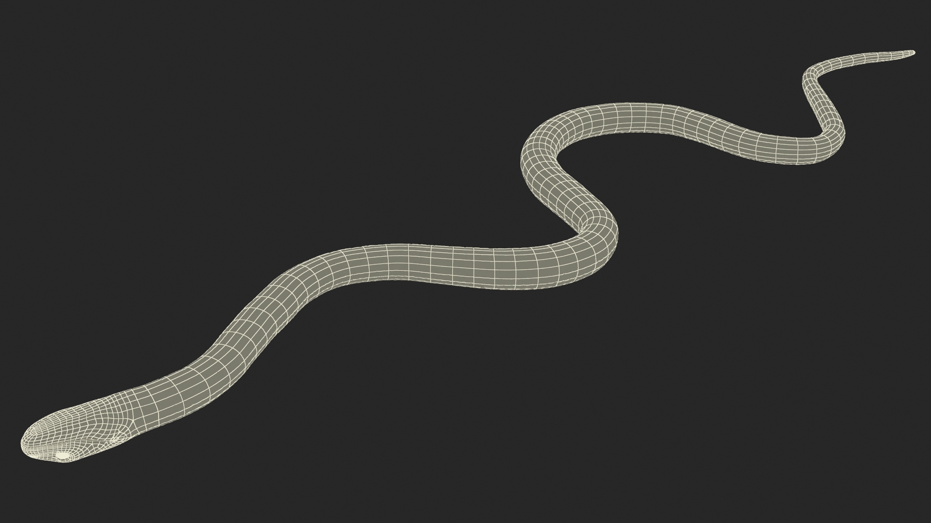 3D Grass Snake Brown Rigged for Cinema 4D model