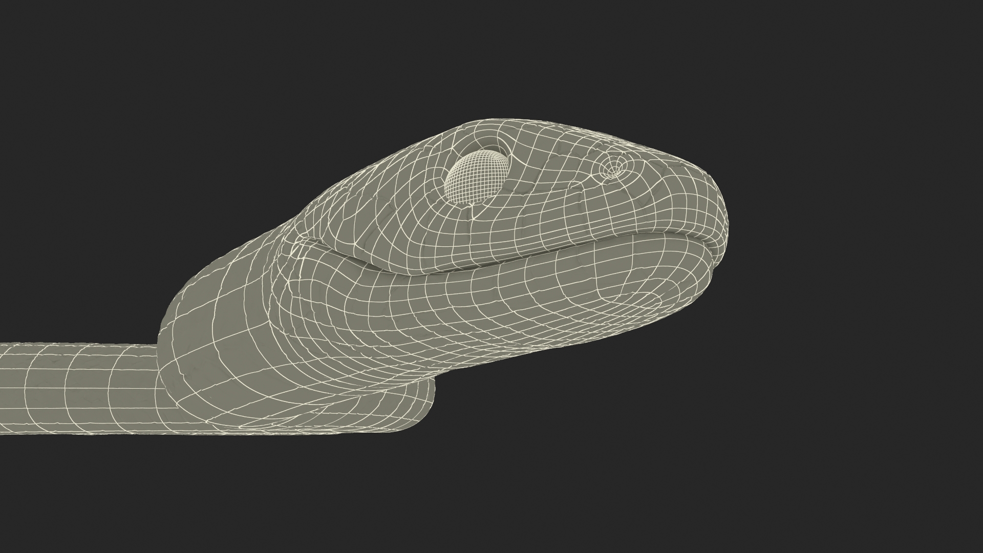 3D Grass Snake Brown Rigged for Cinema 4D model
