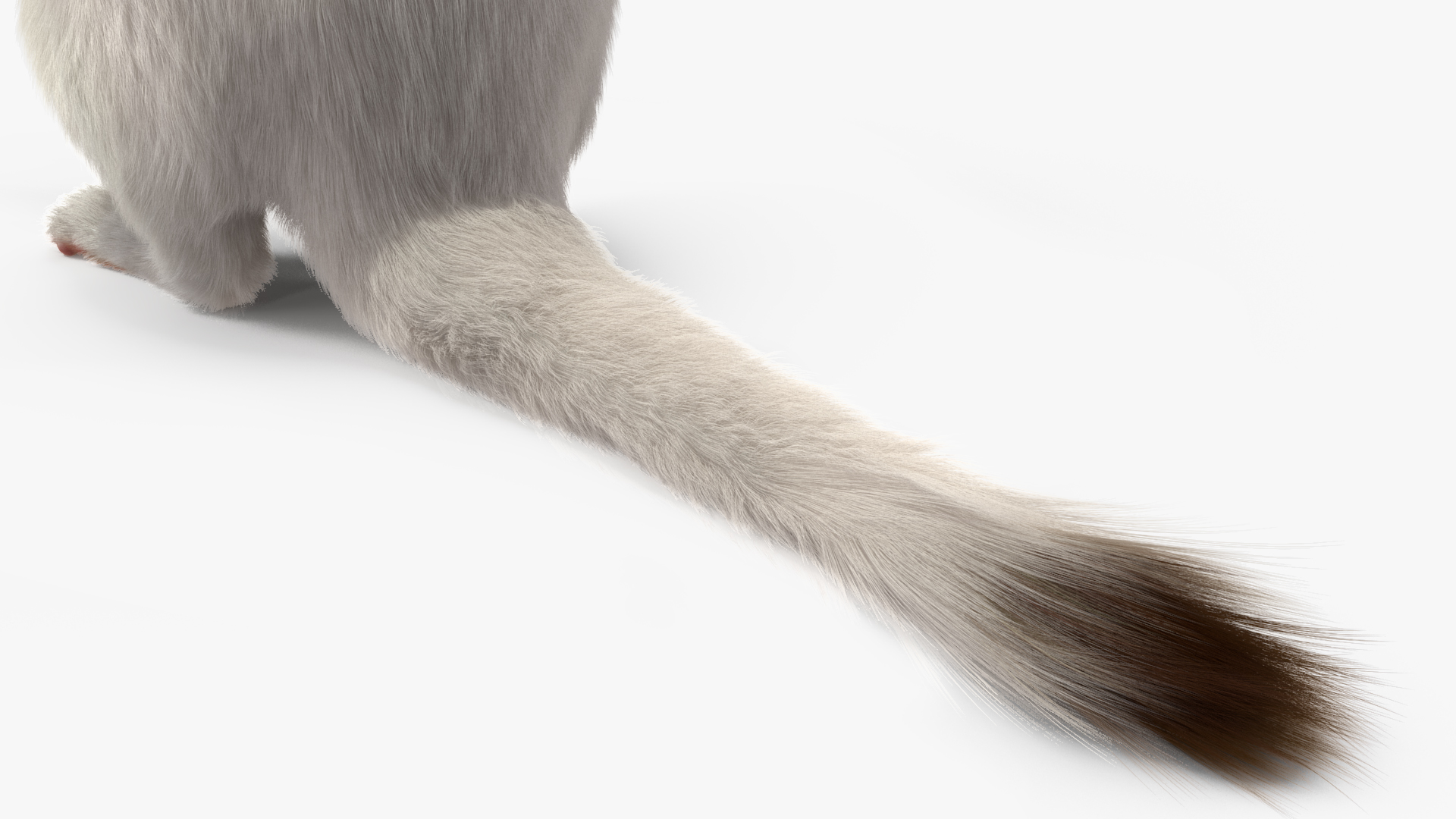 3D model Standing White Ermine Fur
