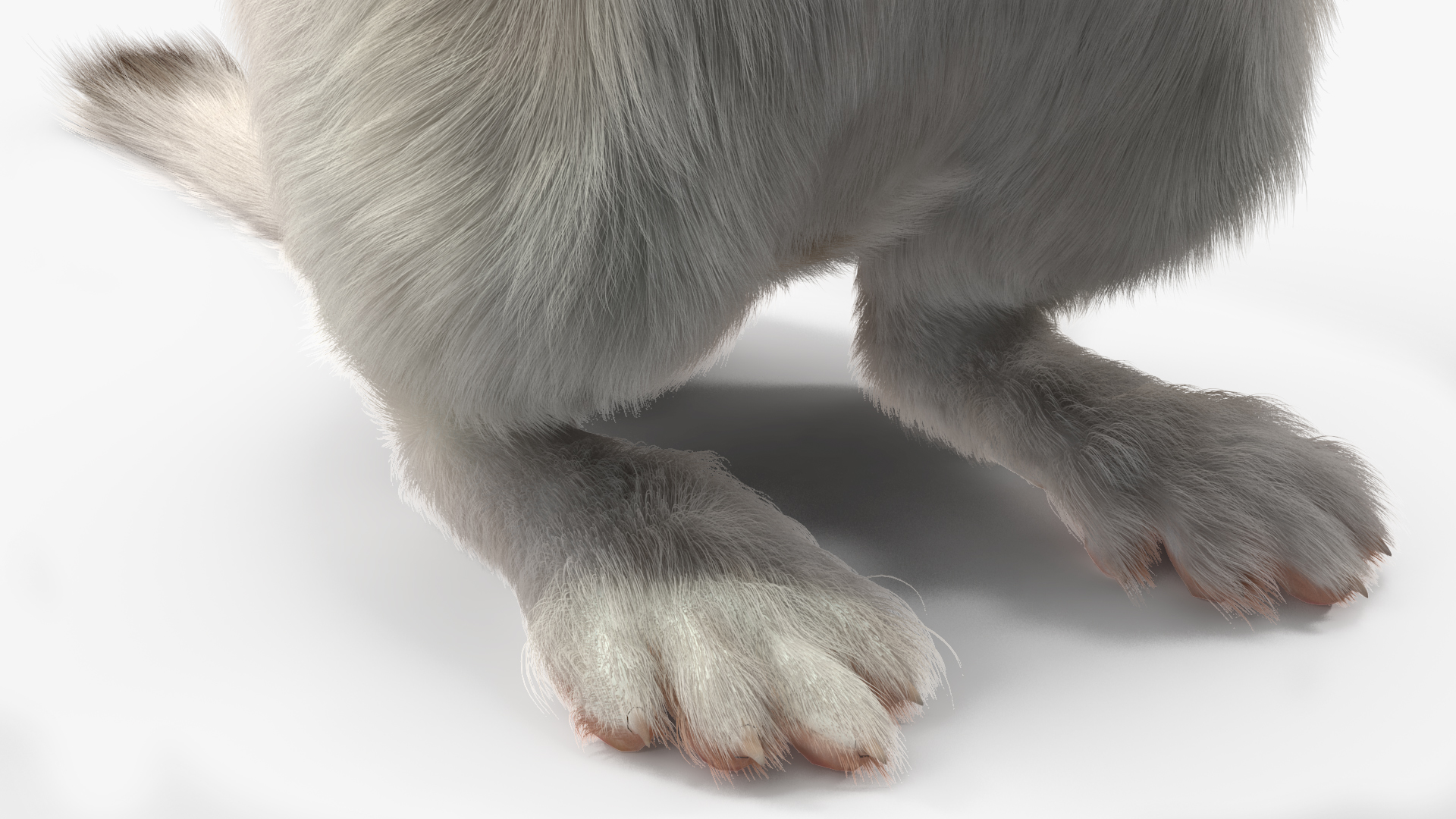 3D model Standing White Ermine Fur