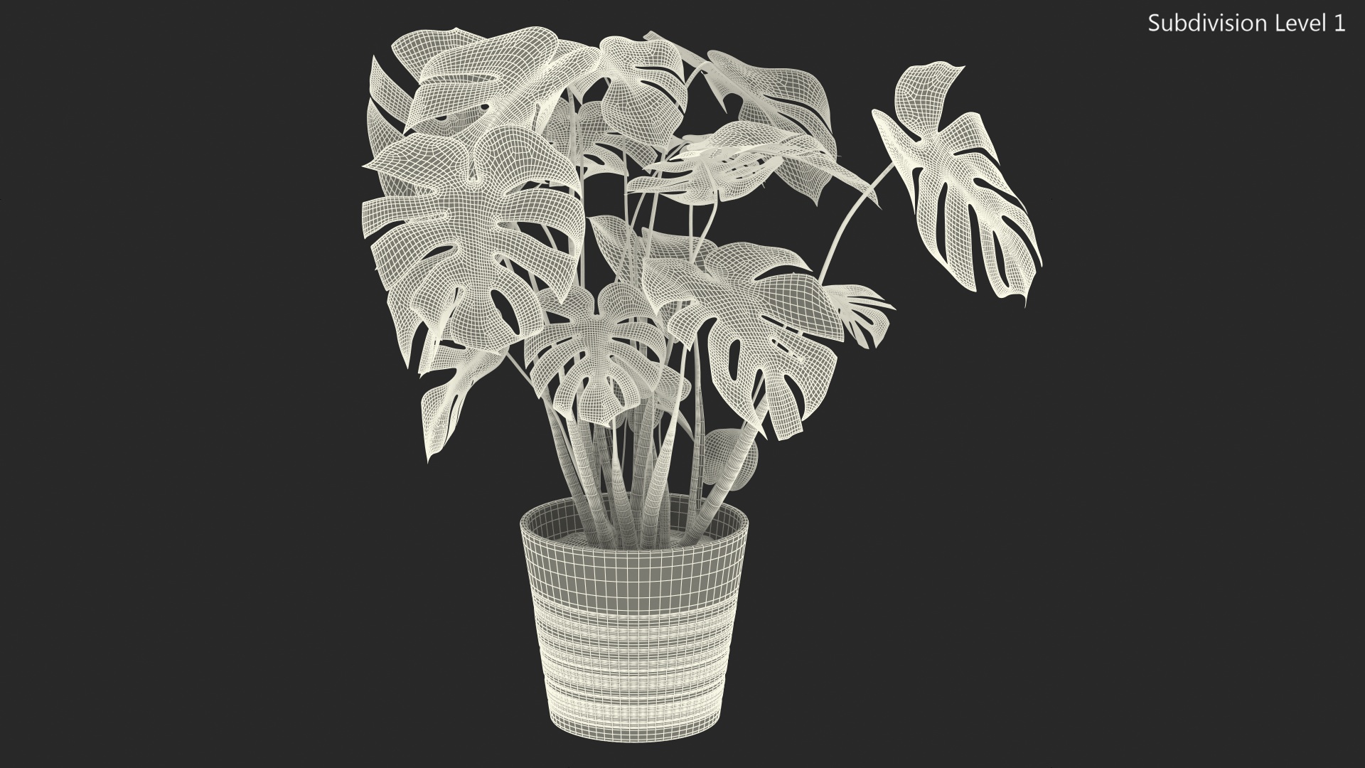 3D model Monstera Deliciosa Tropical Plant in Pot