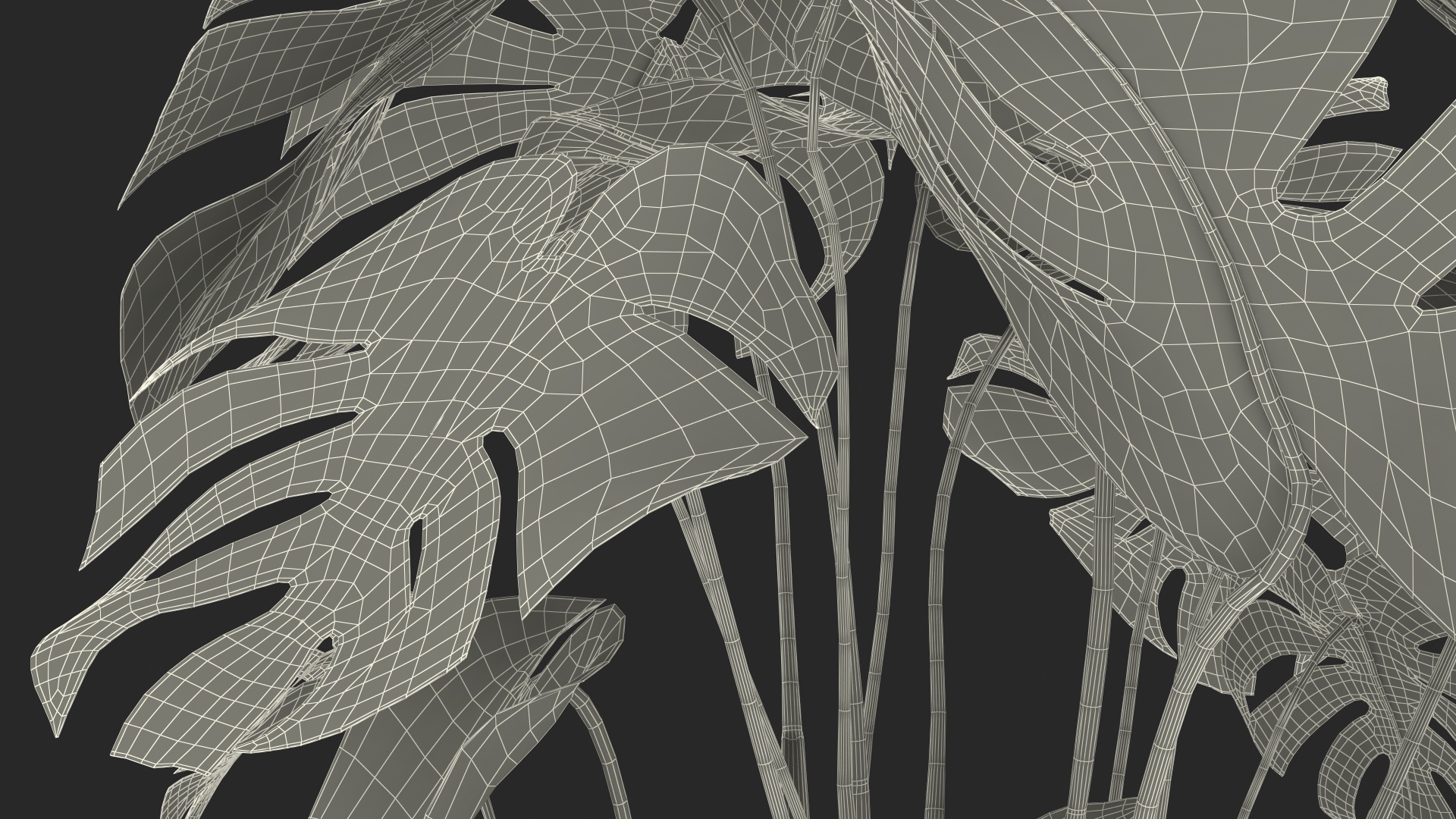 3D model Monstera Deliciosa Tropical Plant in Pot