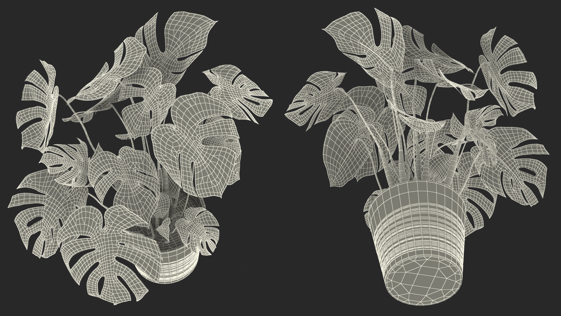 3D model Monstera Deliciosa Tropical Plant in Pot