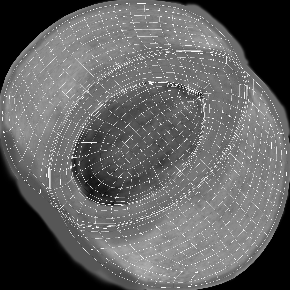 Avocado Half 3D