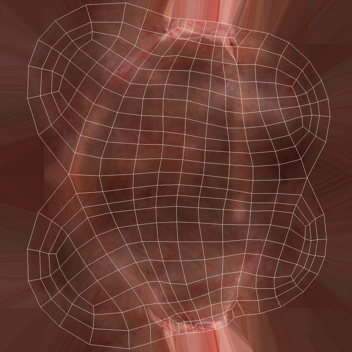 Male Urinary System 3D model