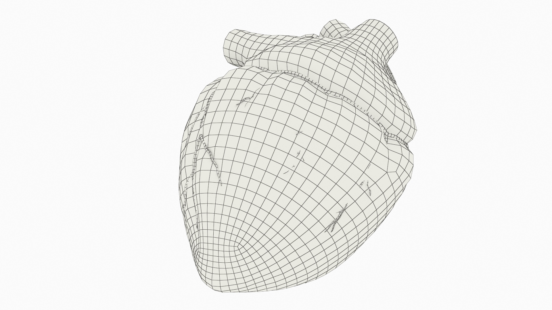 Anatomical Dog Heart with Vascular Connections - view 9