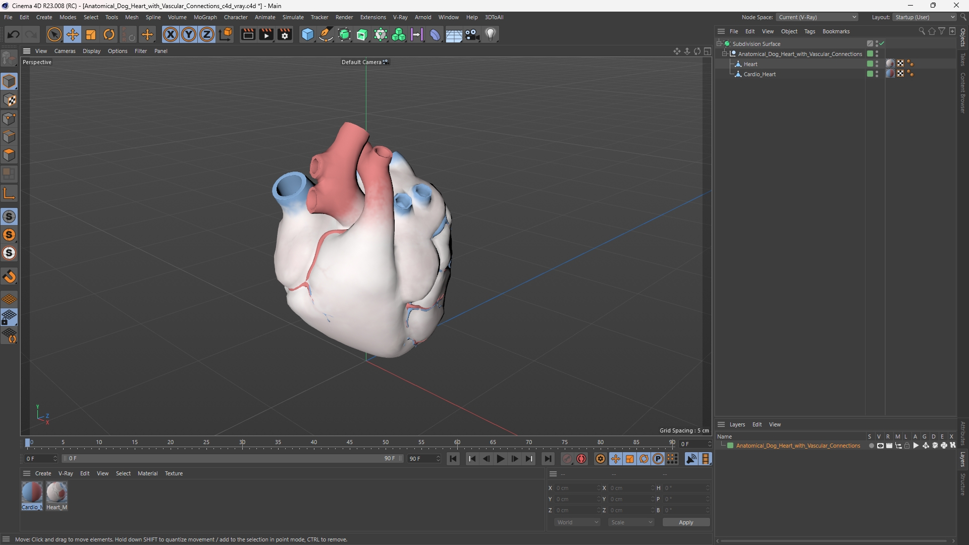 Anatomical Dog Heart with Vascular Connections - view 12