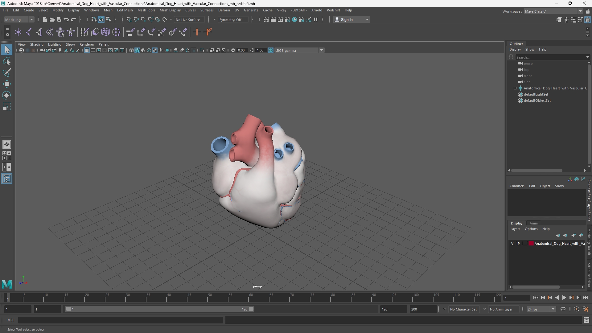 Anatomical Dog Heart with Vascular Connections - view 11