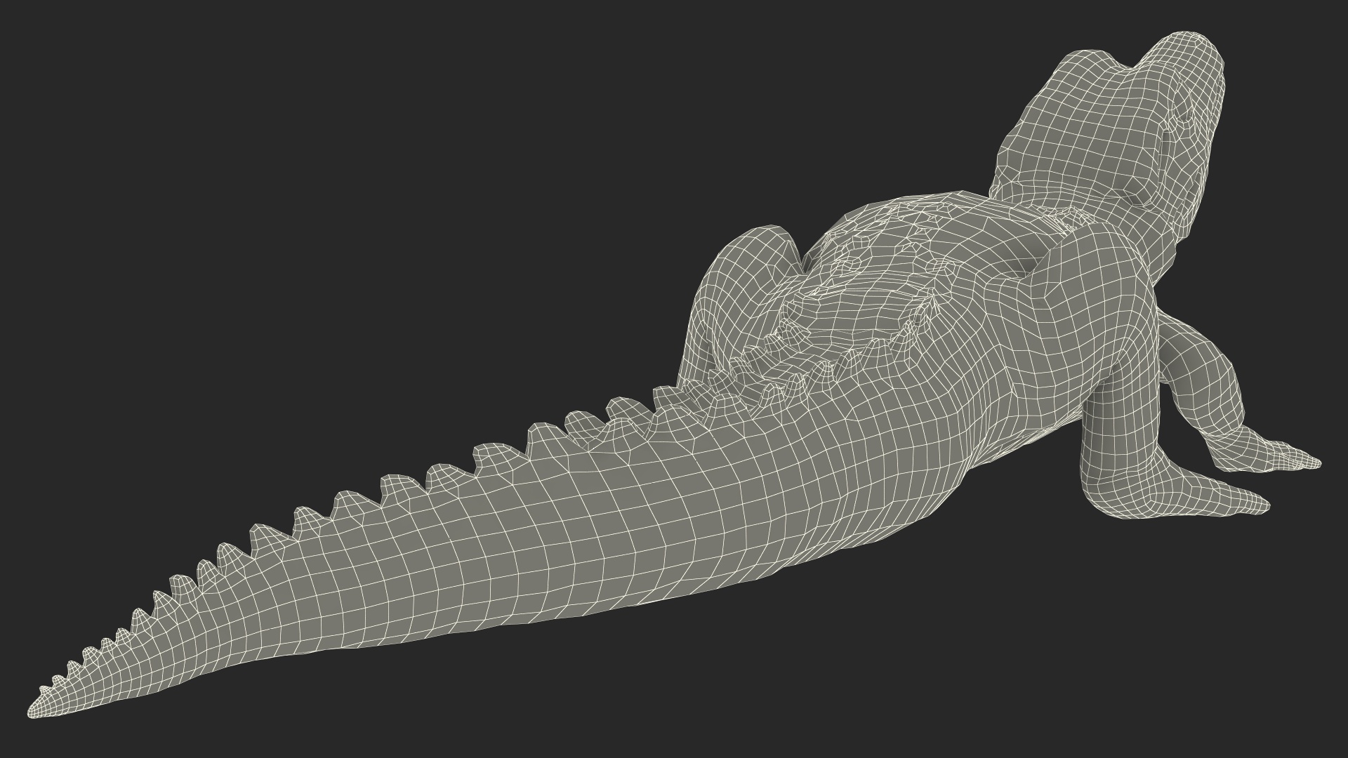 3D Black Caiman Baby Looks Up
