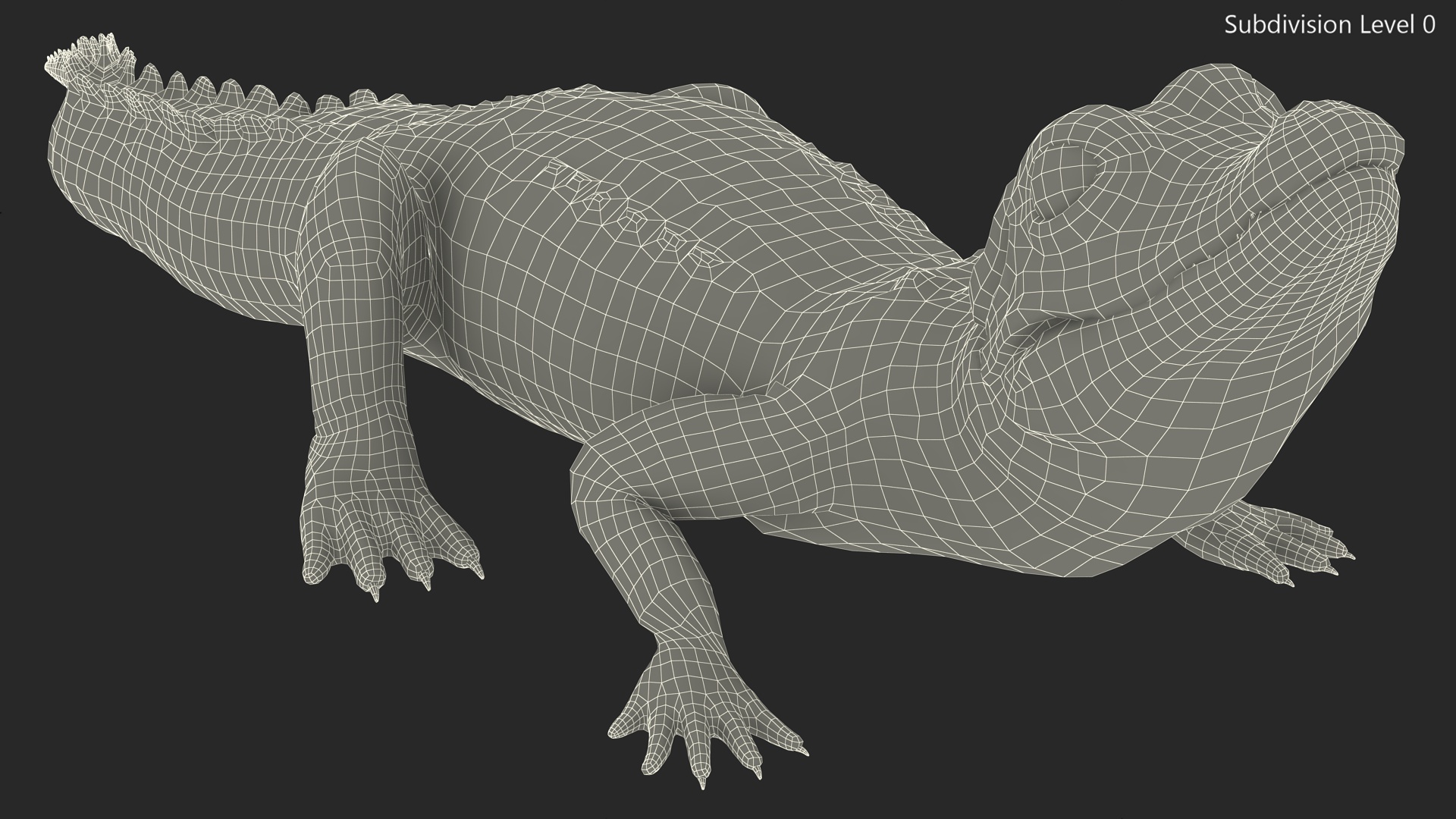 3D Black Caiman Baby Looks Up